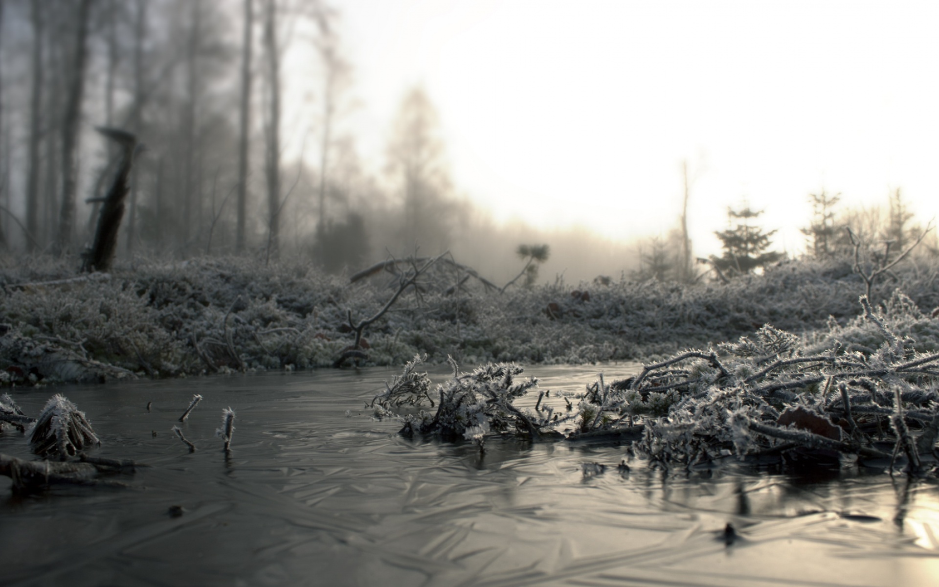风景,冰天雪地,2012Y十月28D,儿童桌面专用