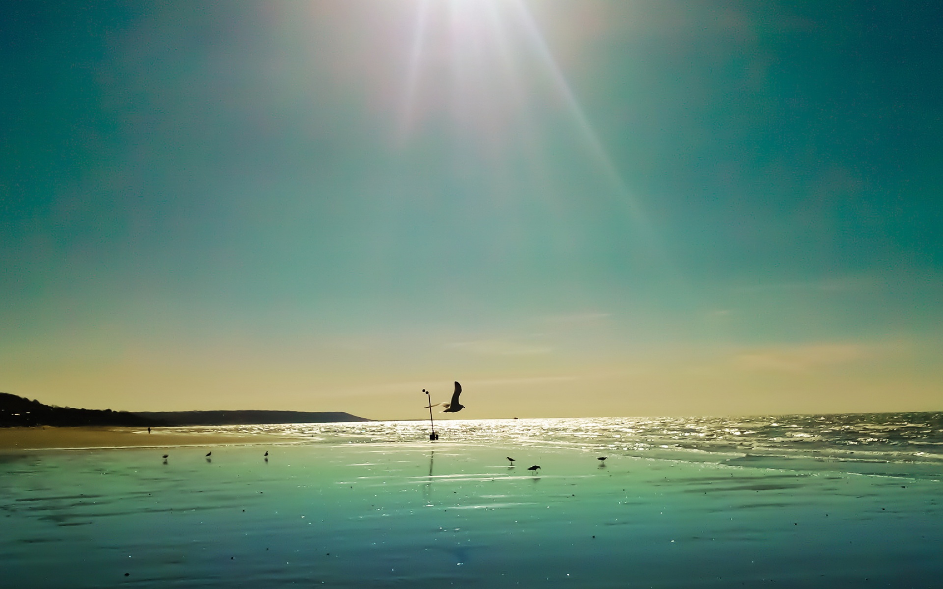 风景,海洋天堂,2012Y十月25D,儿童桌面专用