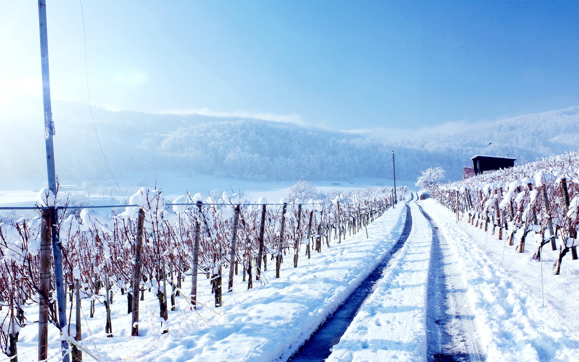 风景,冰天雪地,2012Y十月28D,儿童桌面专用