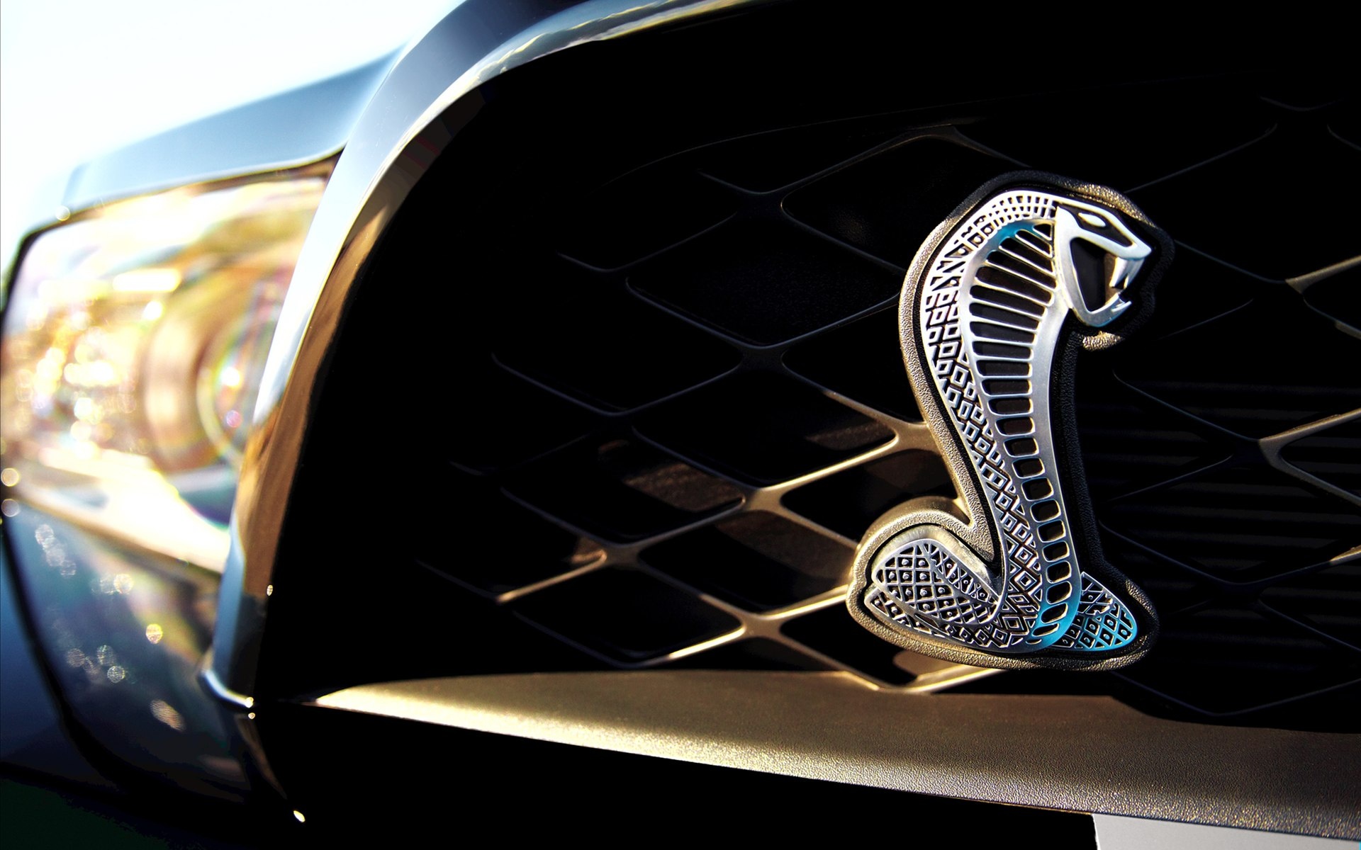 Ford,Shelby,GT500,福特,眼镜蛇,宽屏,汽车,2012Y十月28D,儿童桌面专用