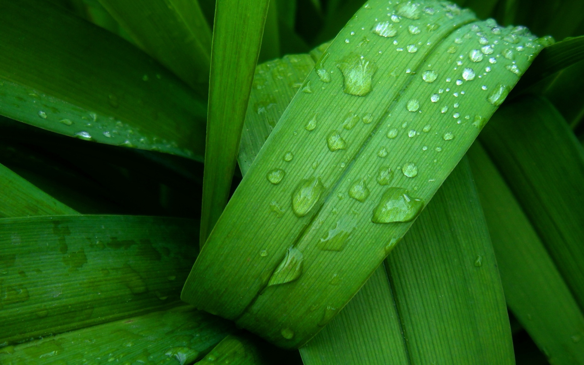 小清新,护眼壁纸,2012Y十月26D,儿童桌面专用