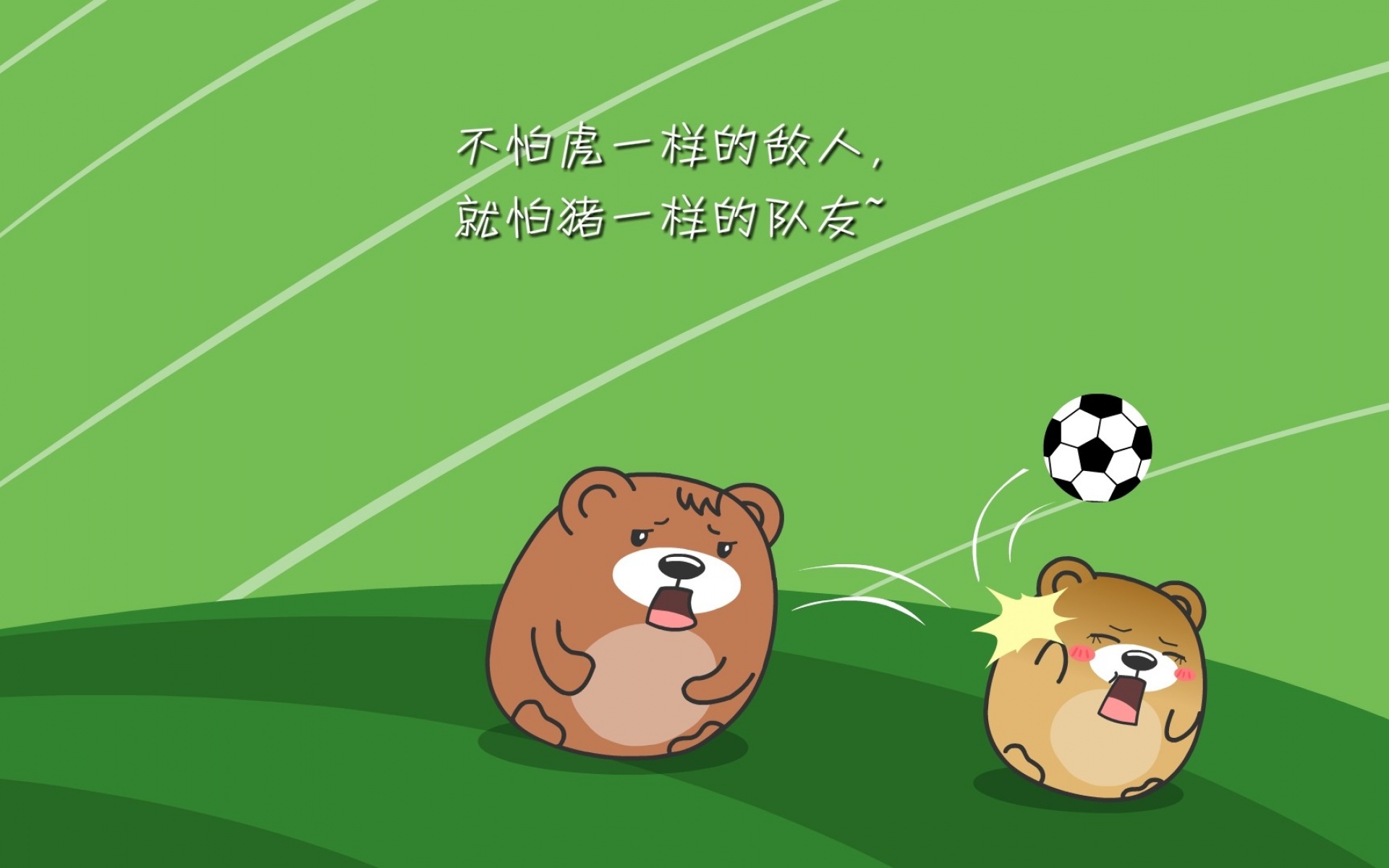 肥肥熊,可爱,卡通,宽屏,1080p,2012Y十月24D,儿童桌面专用