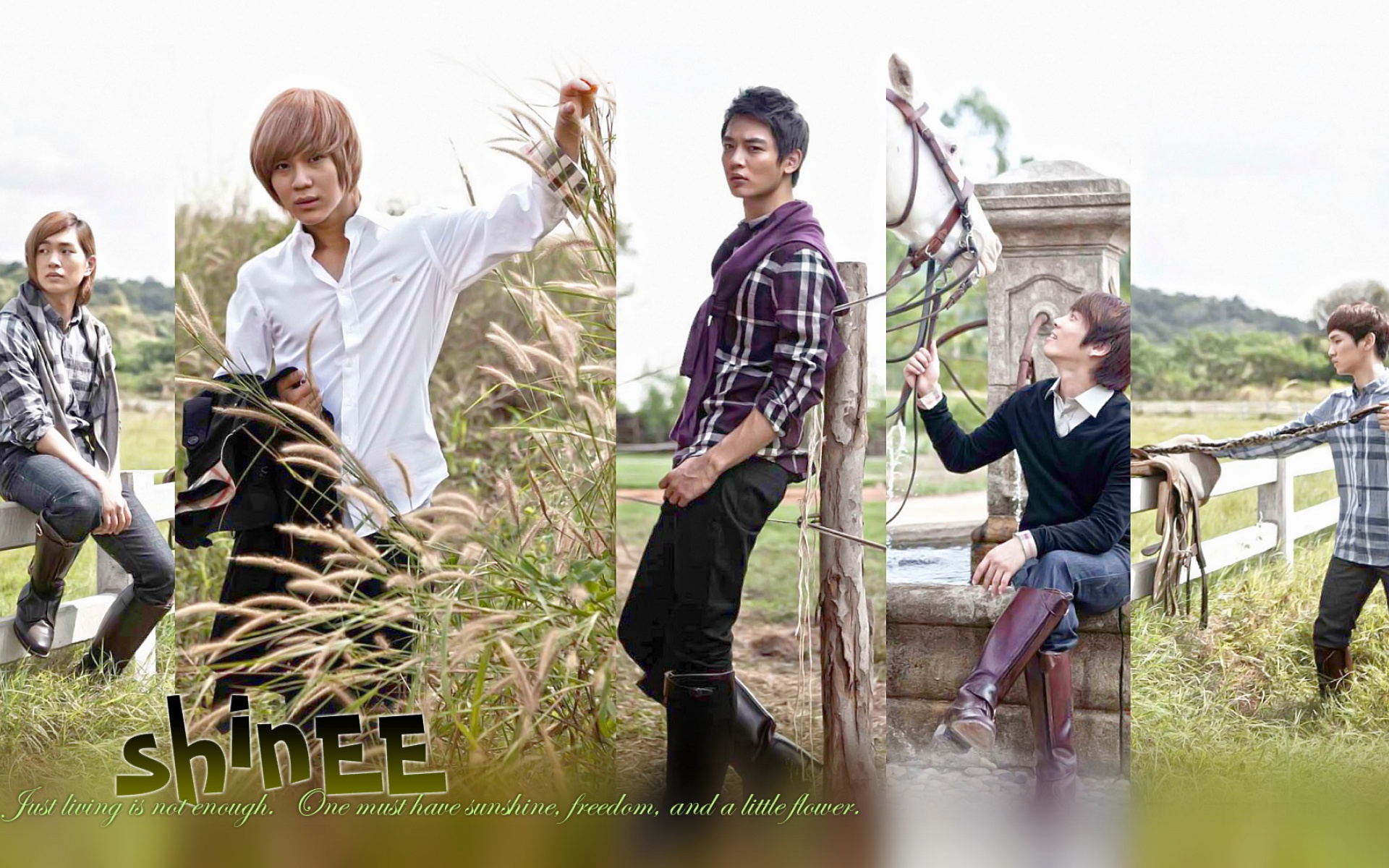 日韩,男明星,偶像团体,SHINee