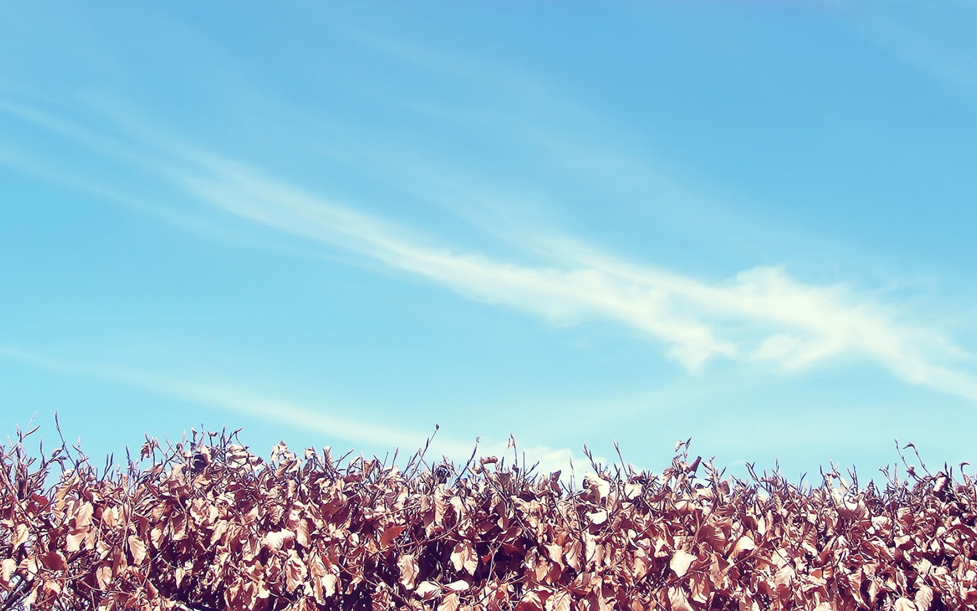 风景,蓝天白云,2012Y十一月04D,儿童桌面专用