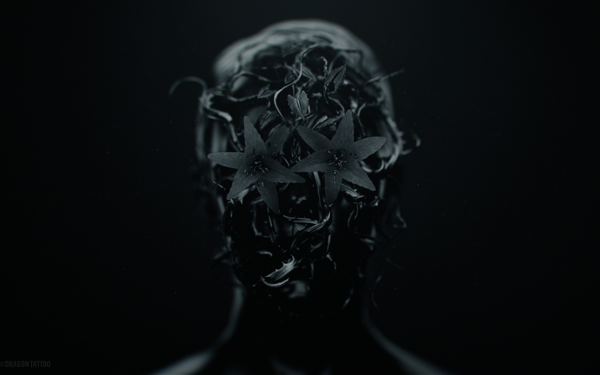 影视,龙纹身的女孩