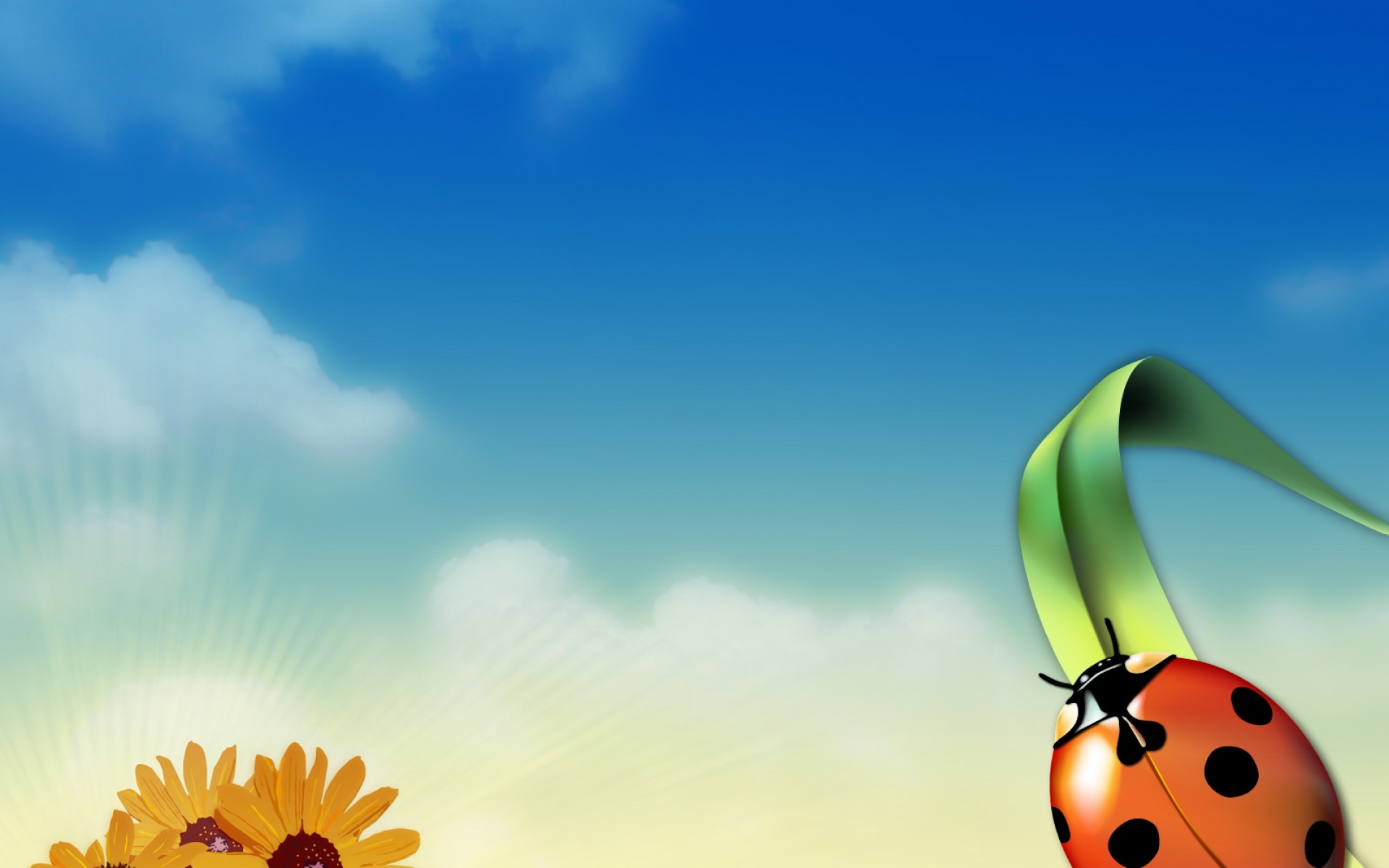 萌宠,瓢虫,2012Y十月27D,儿童桌面专用