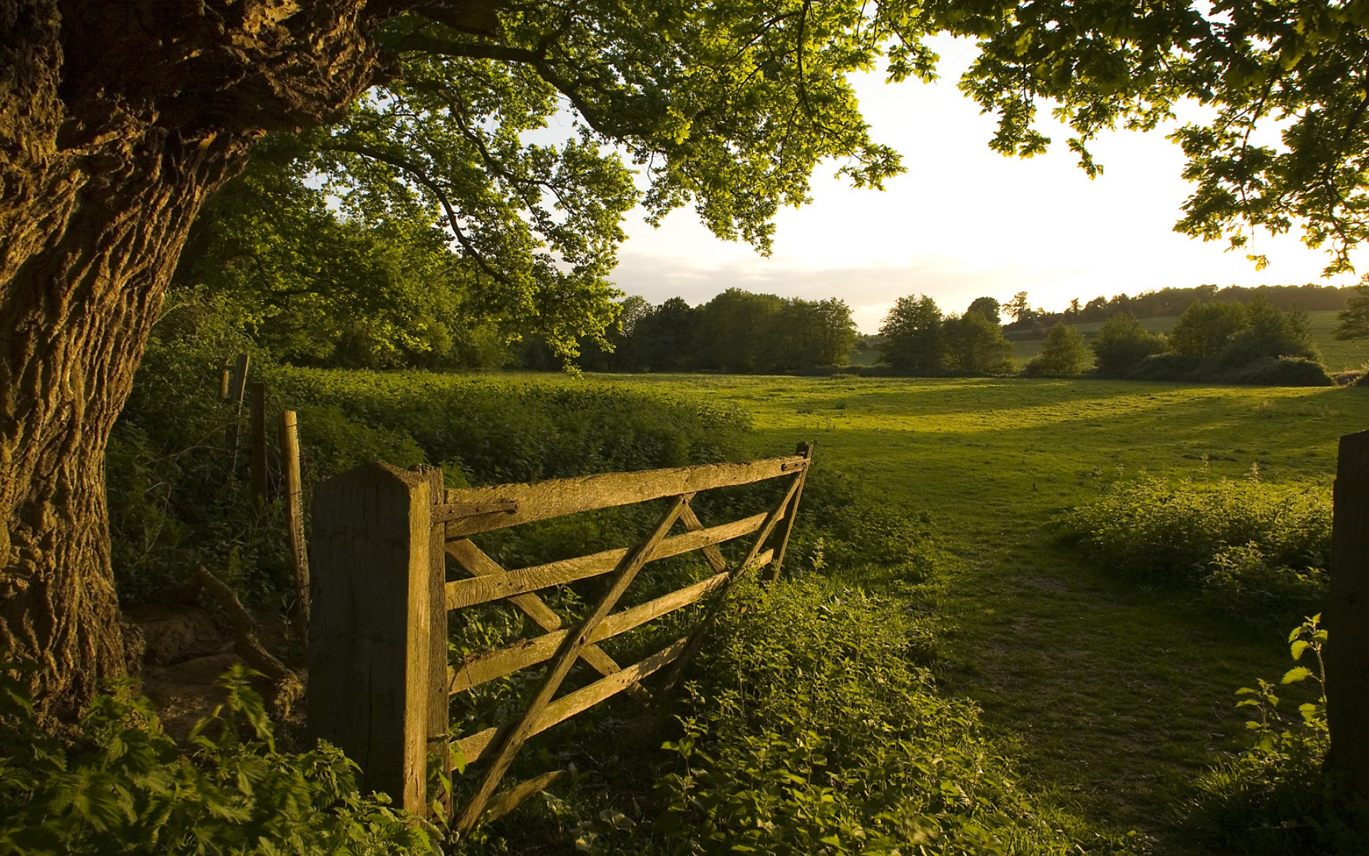 风景,落日余晖,2012Y十月28D,儿童桌面专用