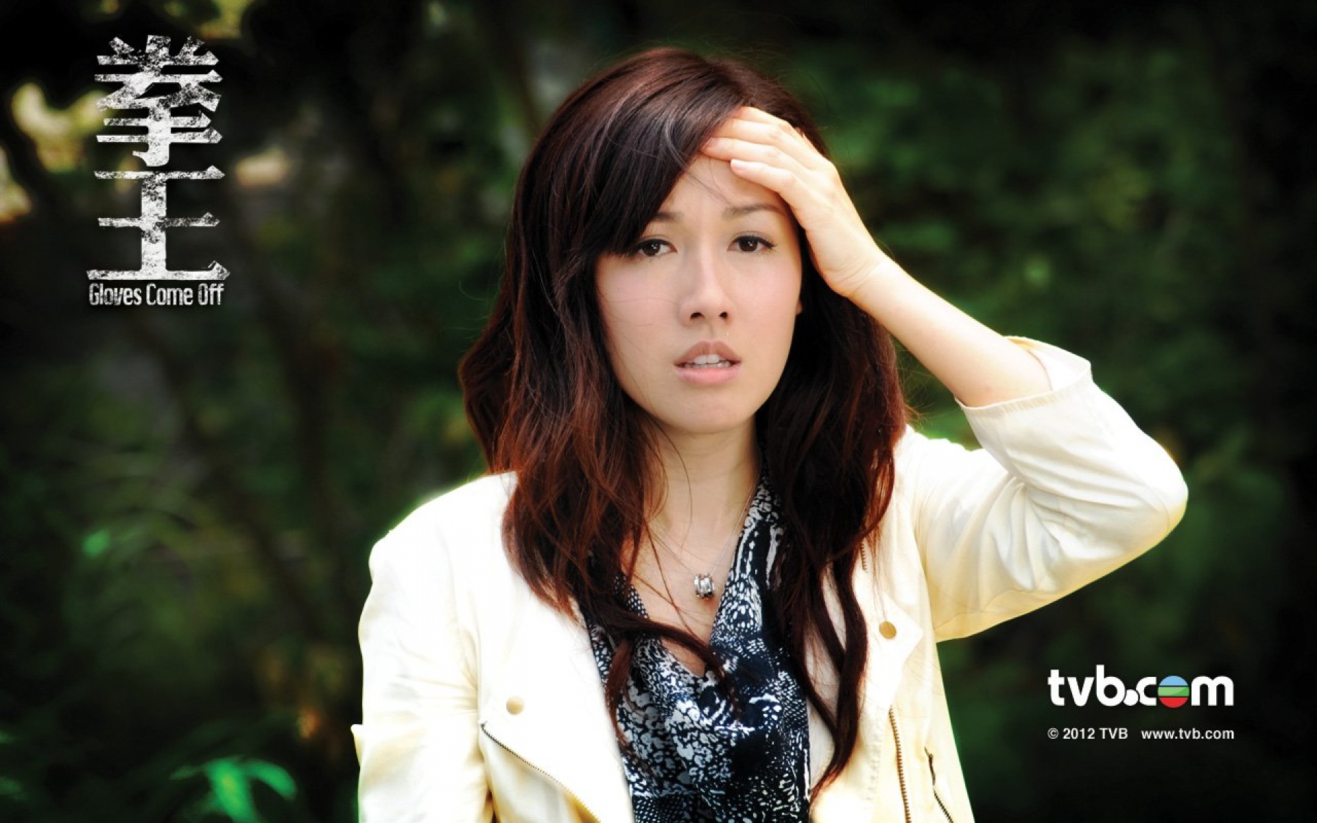 拳王,TVB,影视,电视剧,2012Y十月27D