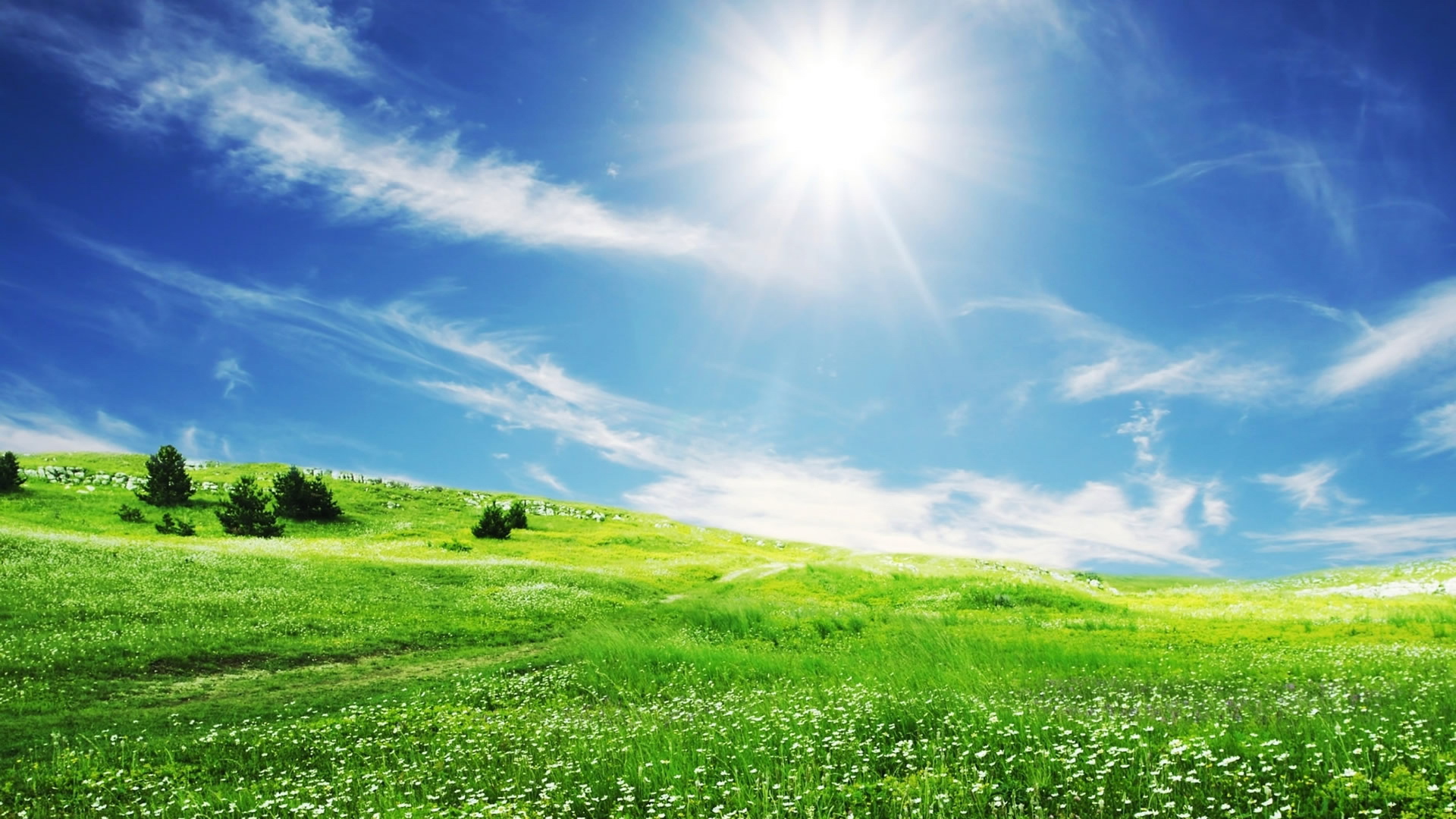 风景,春意盎然,儿童桌面专用