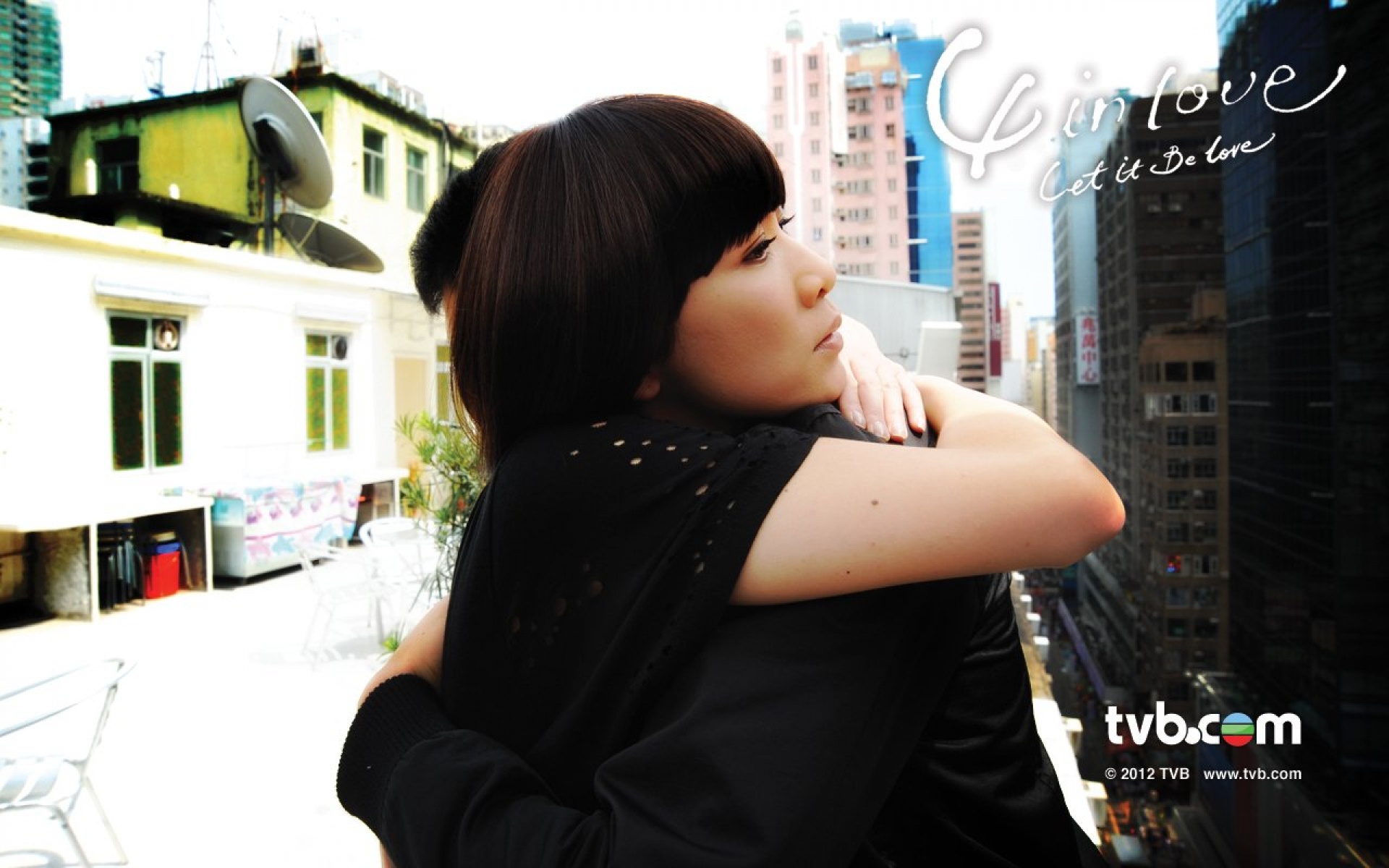 4,In,Love,影视,电视剧,TVB,2012Y十月26D