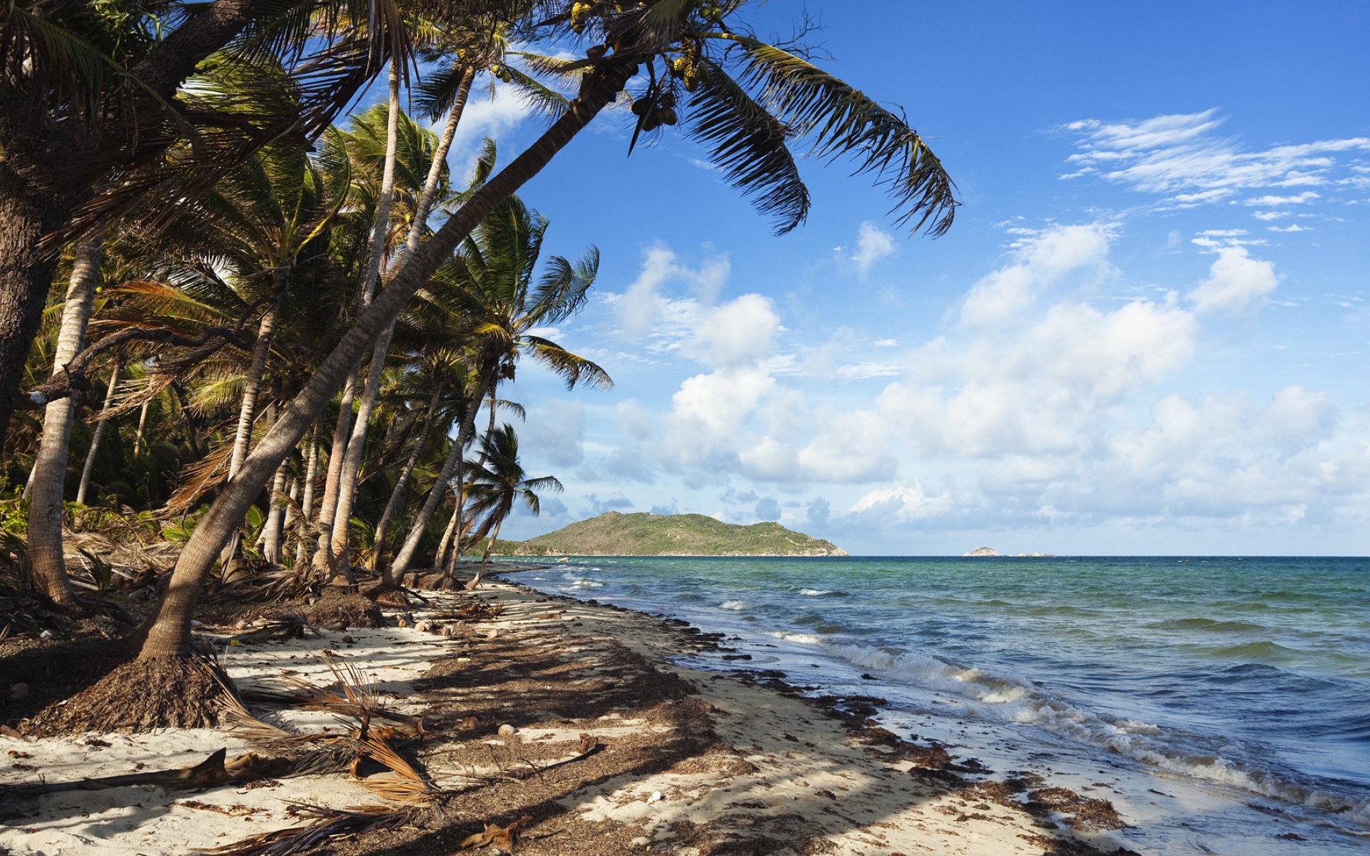 风景,海洋天堂,2012Y十月26D,儿童桌面专用