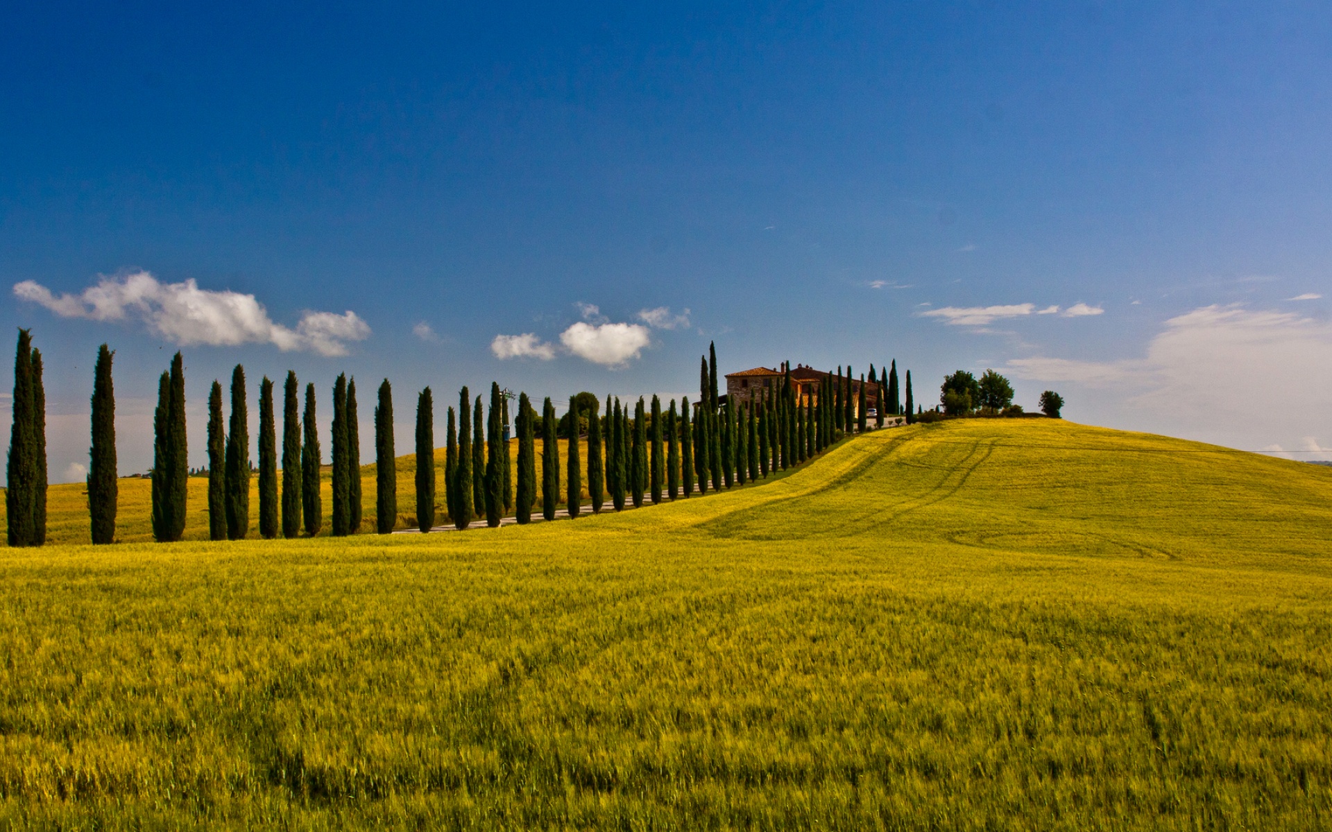 风景,碧绿草原,2012Y十月27D,儿童桌面专用