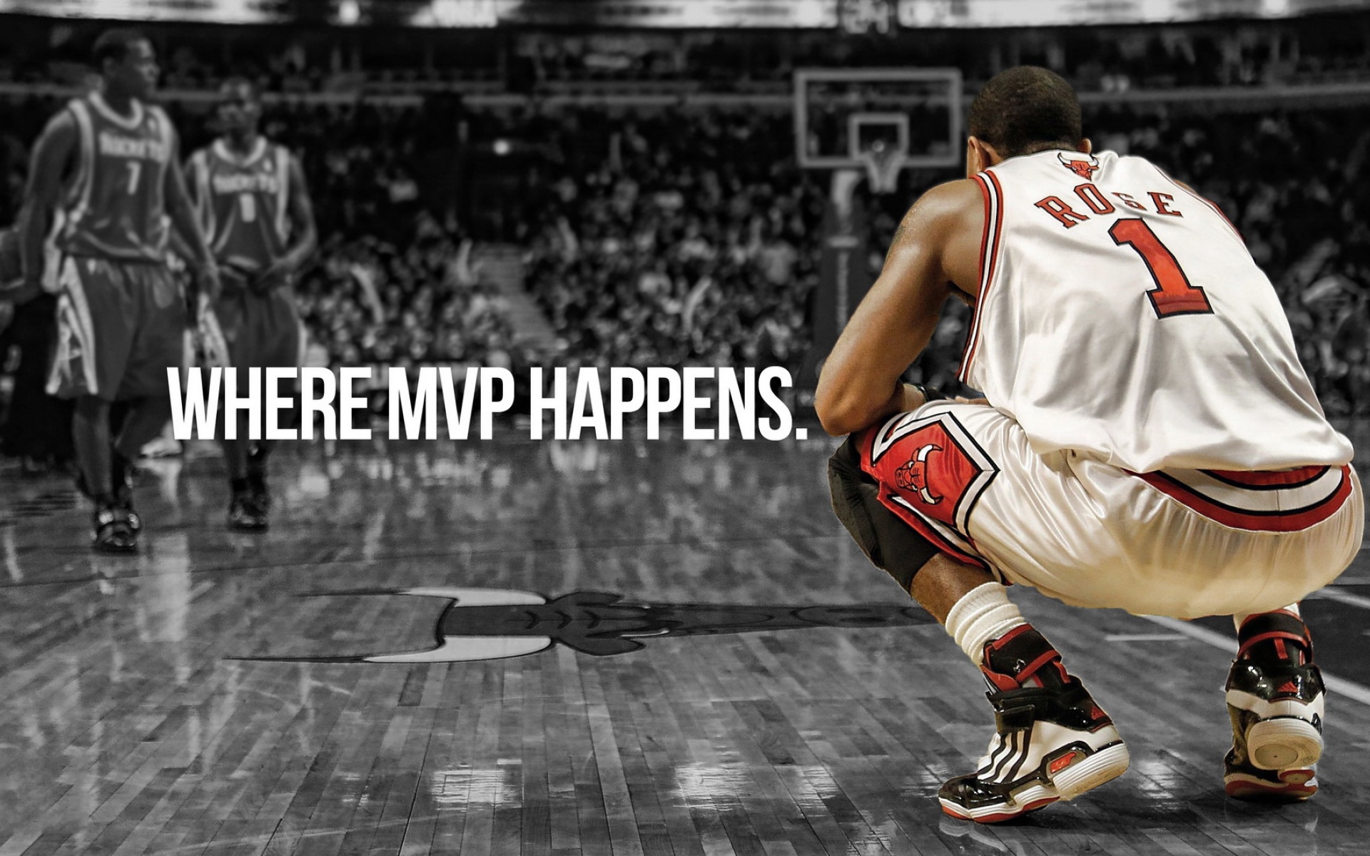 体育,NBA,罗斯,公牛队