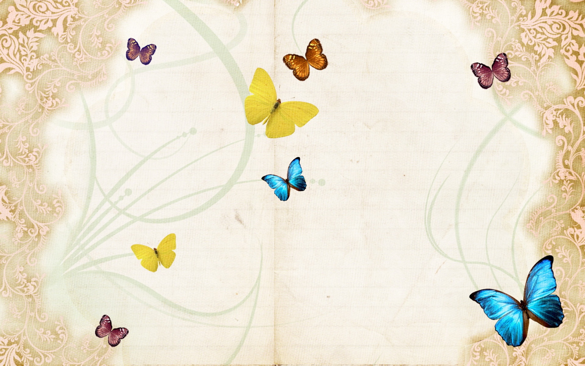 创意,蝴蝶,2012Y十月27D,儿童桌面专用