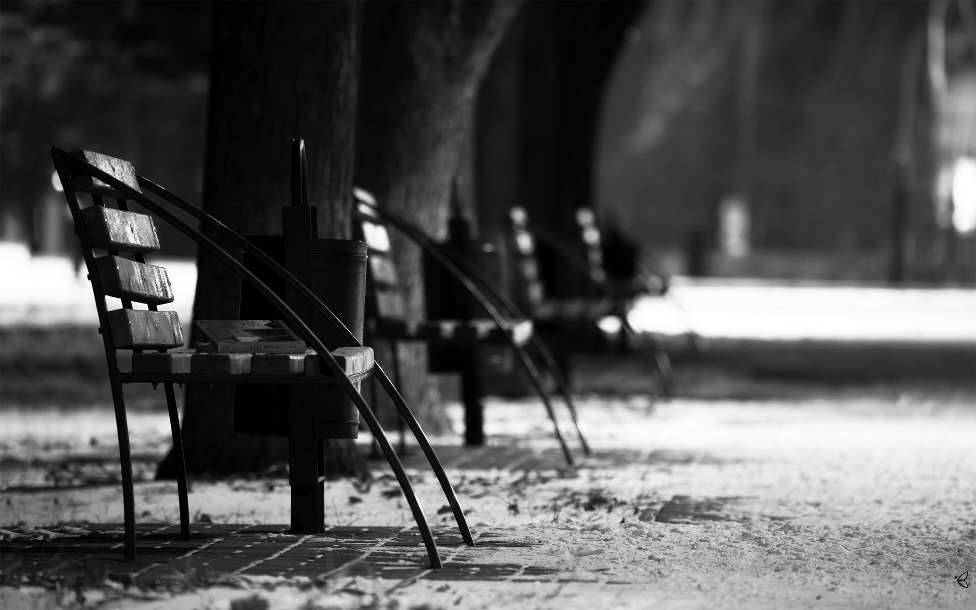 高清,植物,摄影,宽屏,微距,风光,风景,2012Y十月28D