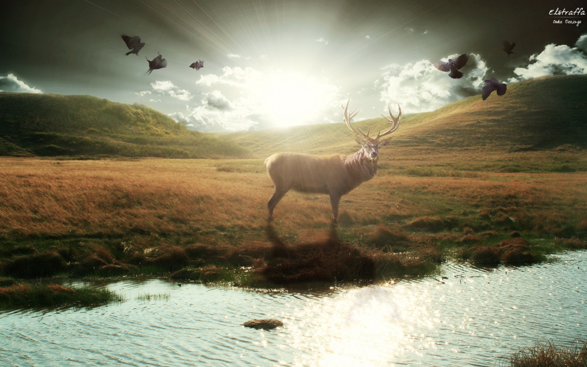 风景,奇幻梦境,2012Y十月26D,儿童桌面专用