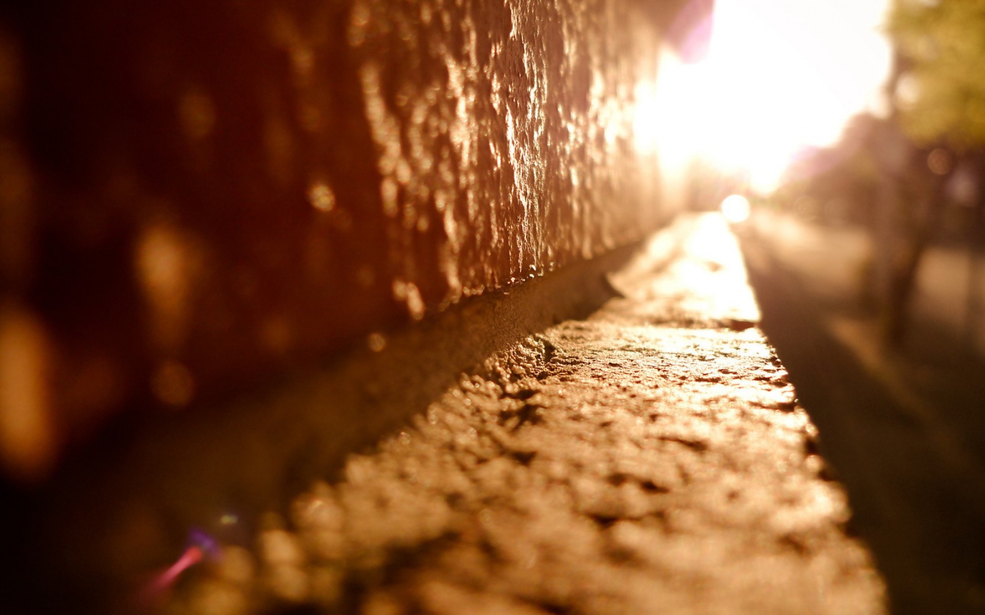 风景,落日余晖,2012Y十一月04D,儿童桌面专用