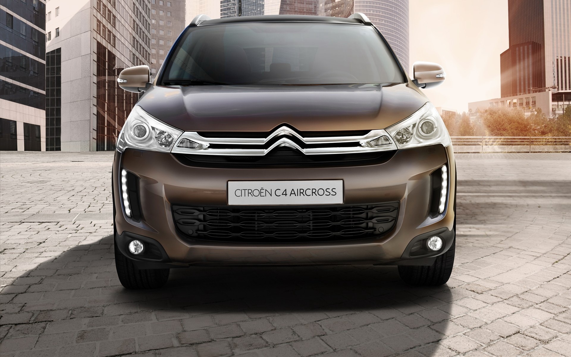 Citroen,雪铁龙,C4,汽车,宽屏,2012Y十月26D,儿童桌面专用