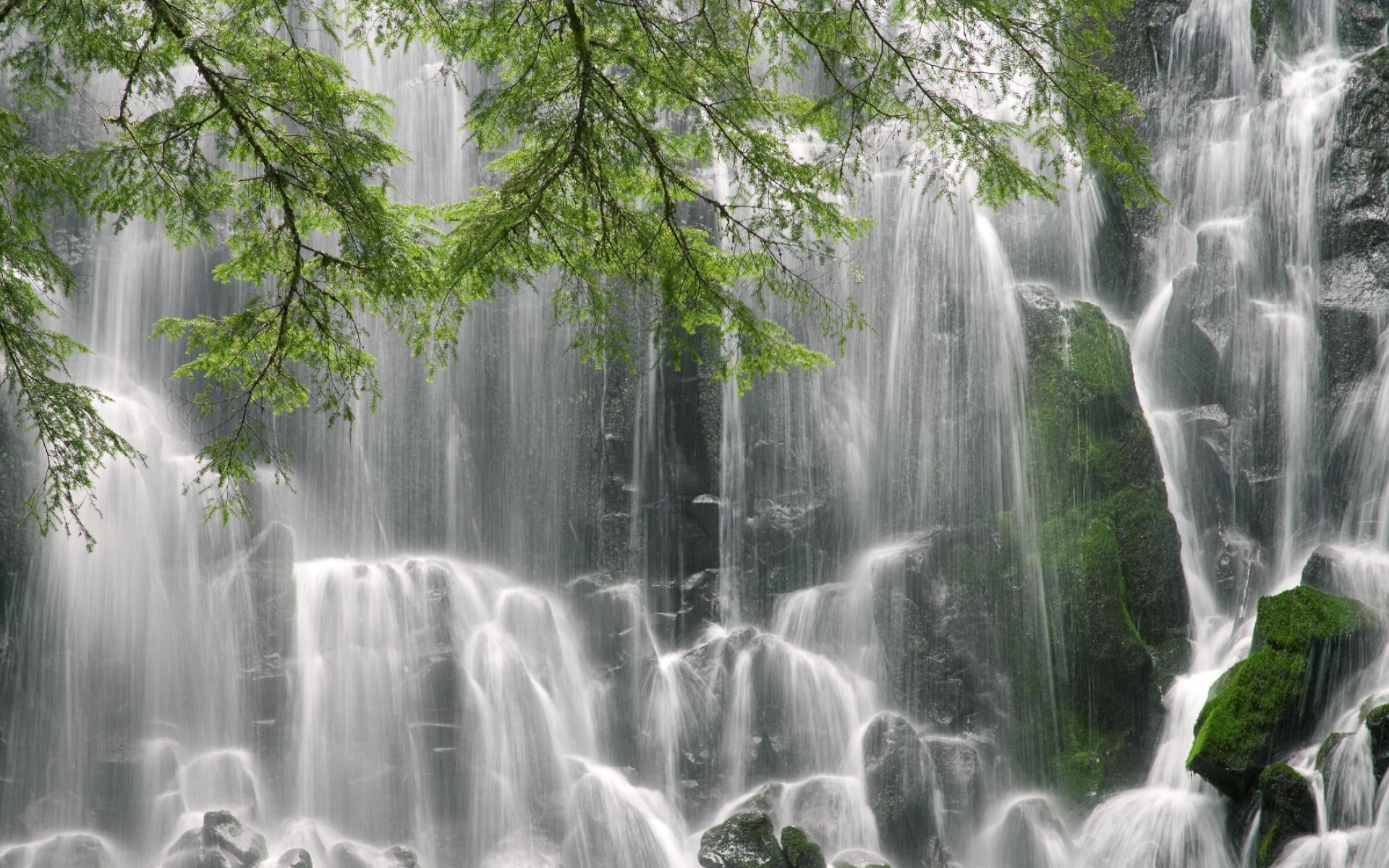 Webshots,2012年,五月,精美,风光,动物,摄影,宽屏,1080p,2012Y十月28D,儿童桌面专用