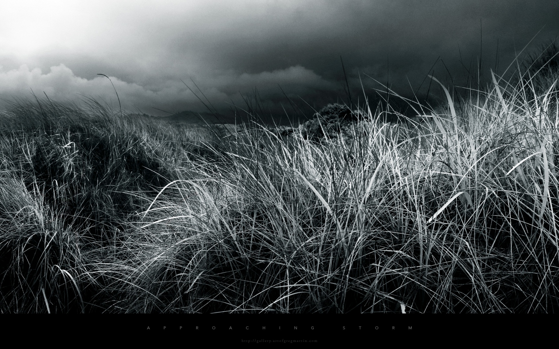 名家,精美,电脑,艺术,设计,风光,风景,宽屏,1080p,2012Y十月28D