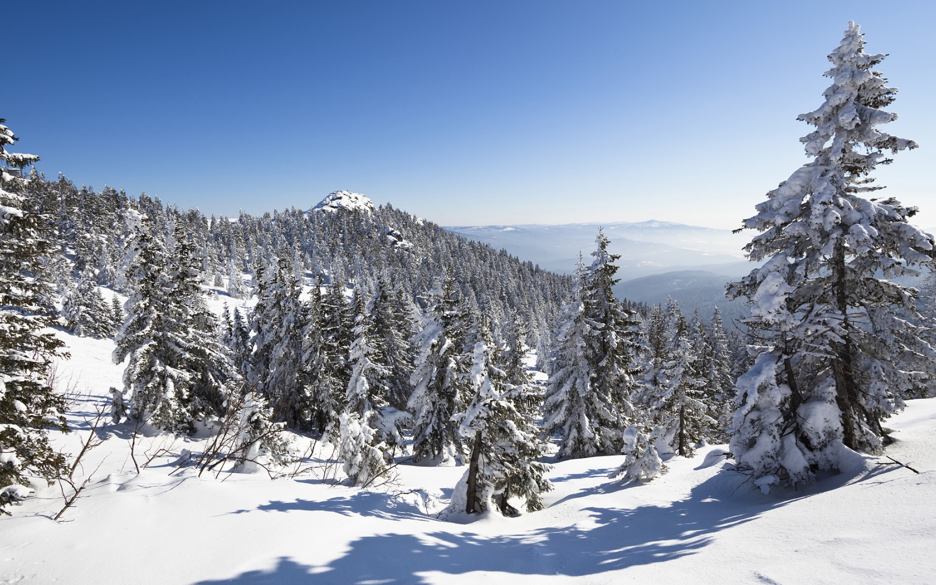 风景,冰天雪地,2012Y十月26D,儿童桌面专用