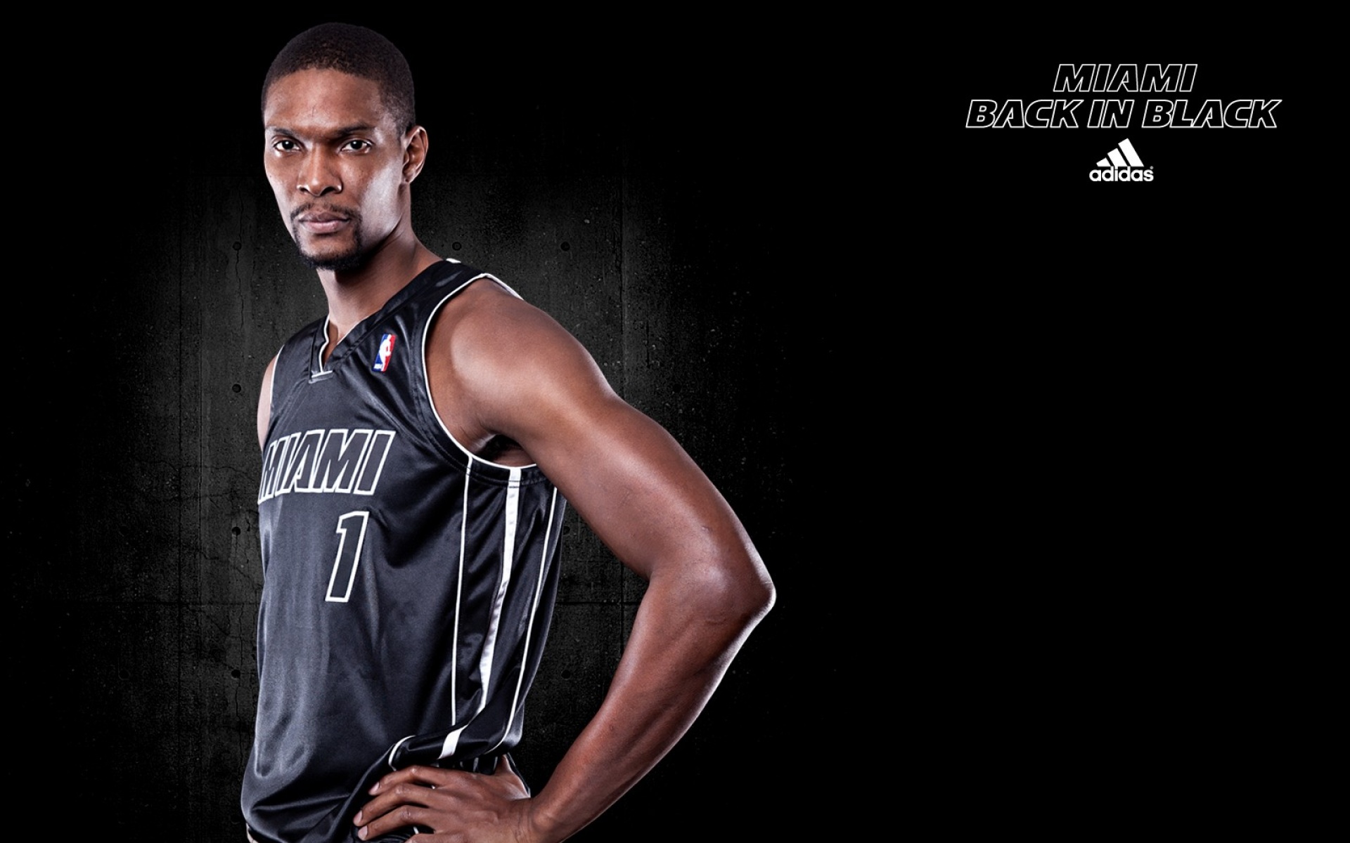 热火队,NBA,篮球,体育,运动,宽屏,2012Y十月28D