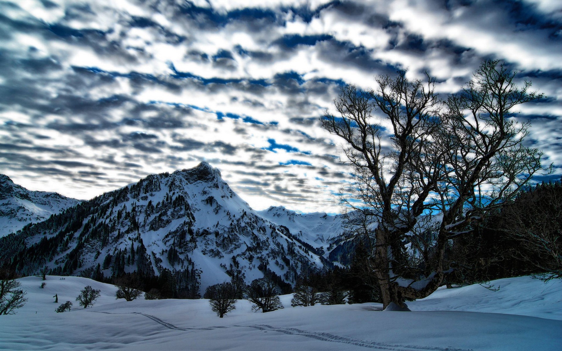 风景,冰天雪地,2012Y十月26D,儿童桌面专用