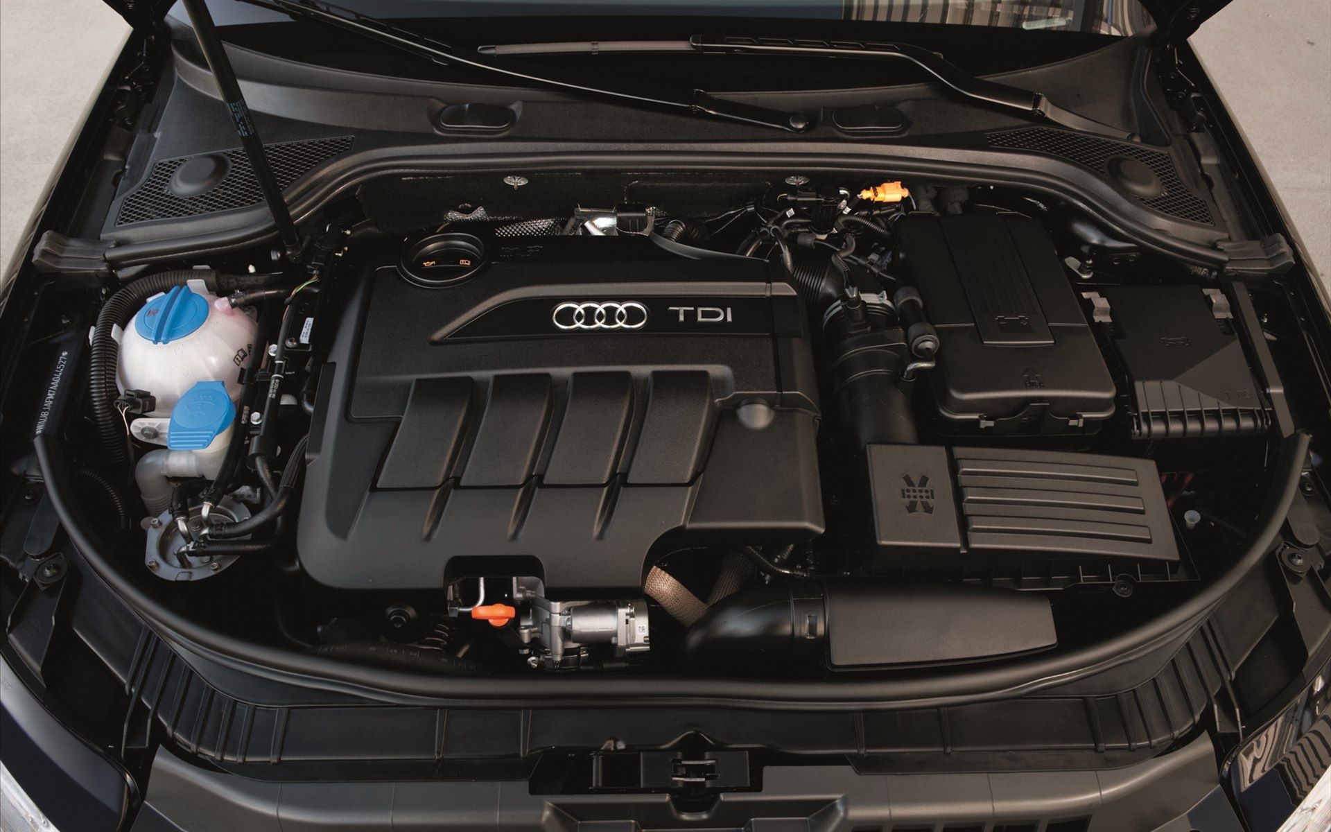 Audi,A3,TDI,奥迪,柴油汽车,汽车,宽屏,2012Y十月29D,儿童桌面专用