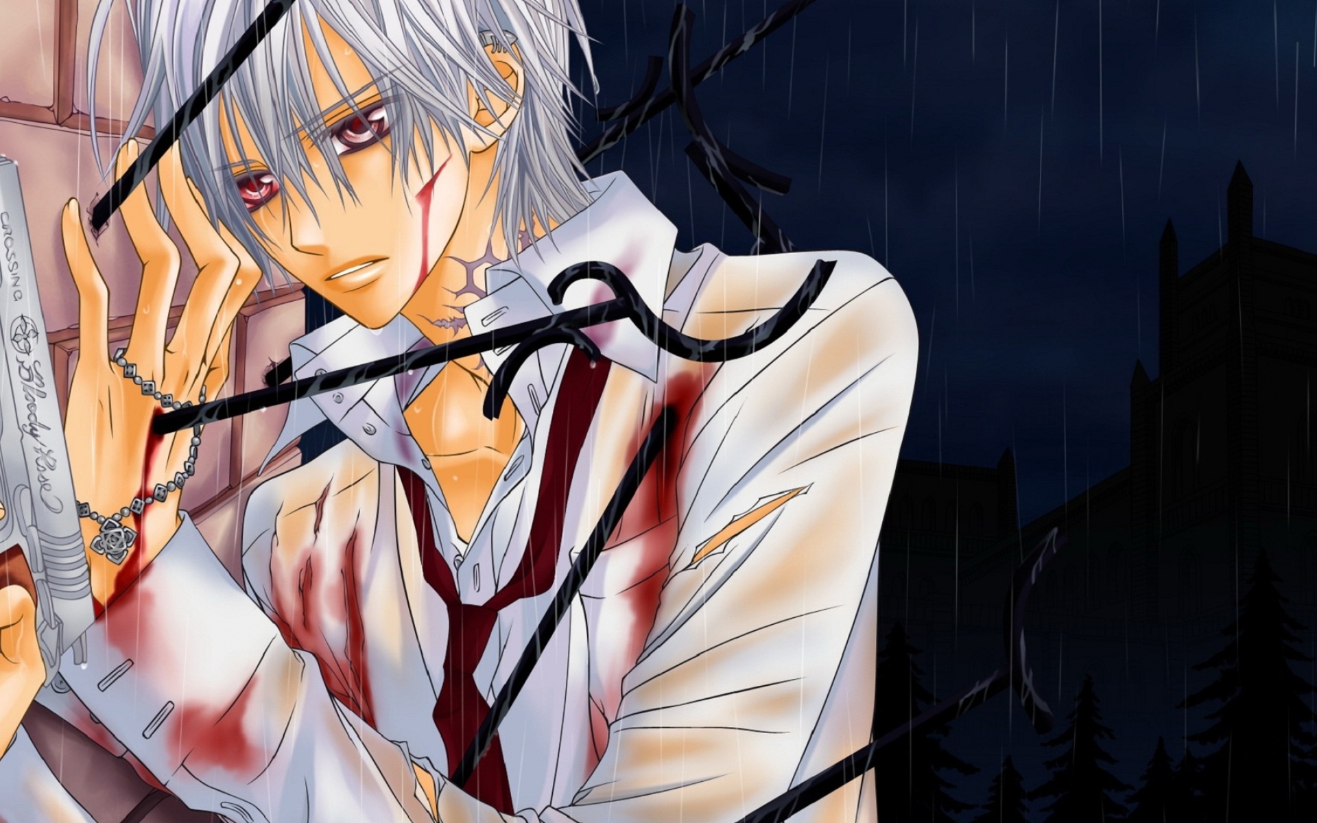 动漫,帅哥,卡通,吸血鬼骑士,2012Y十月27D