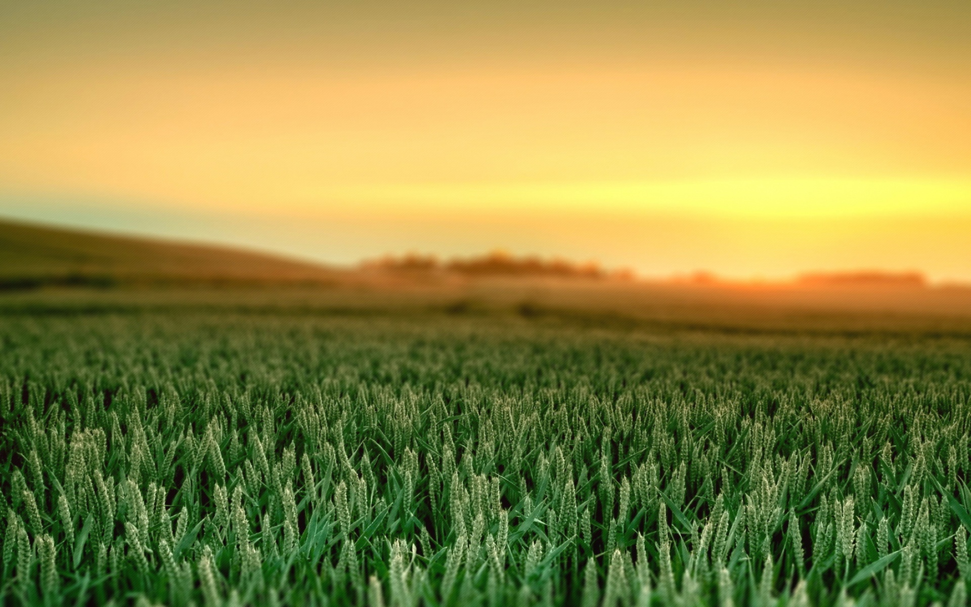 风景,落日余晖,2012Y十月26D,儿童桌面专用