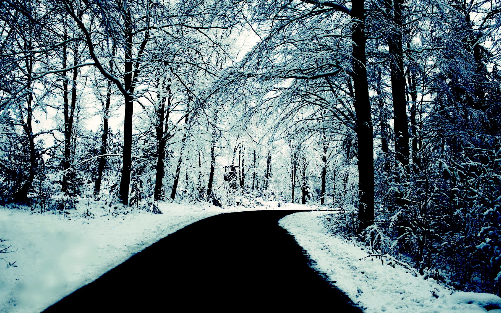 风景,冰天雪地,2012Y十月27D,儿童桌面专用