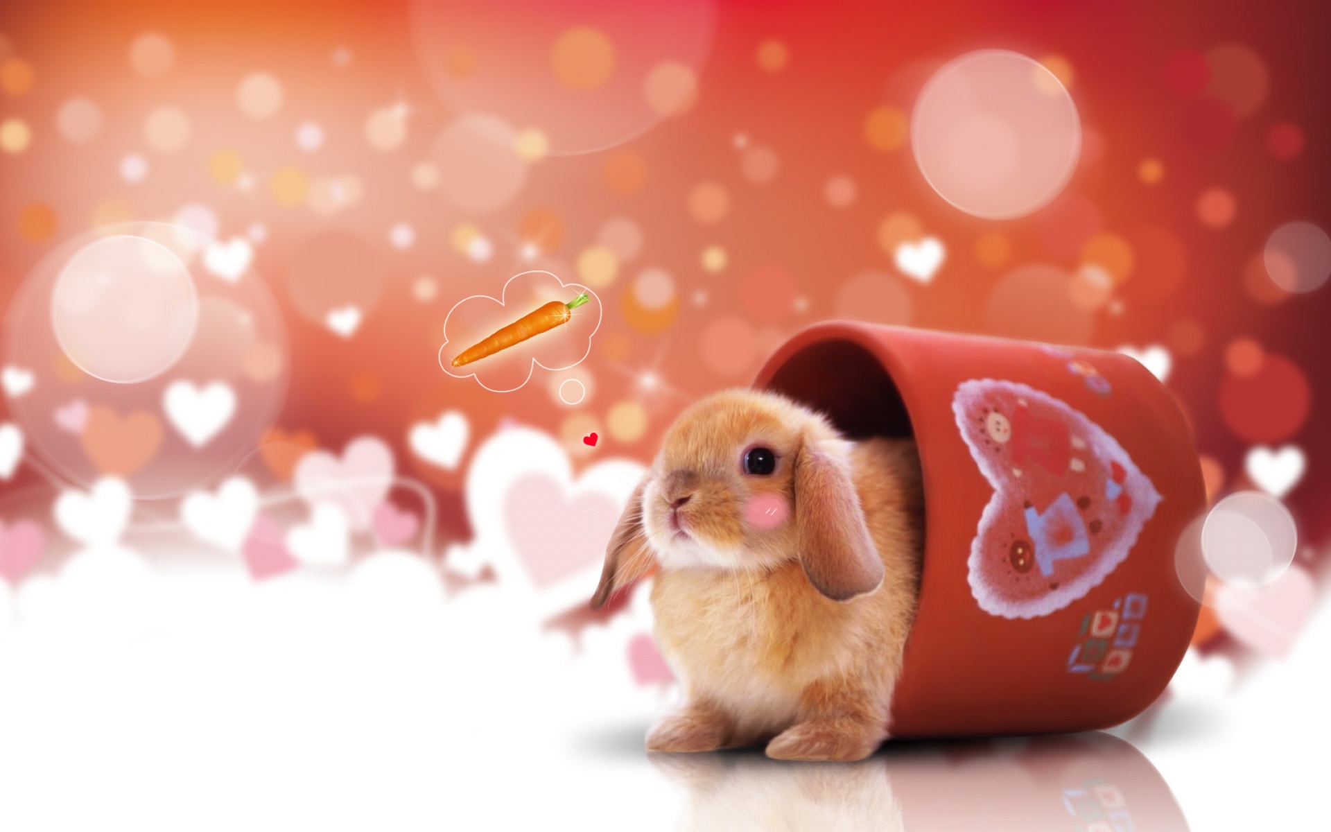 精美,宽屏,普屏,2012Y十月29D,儿童桌面专用