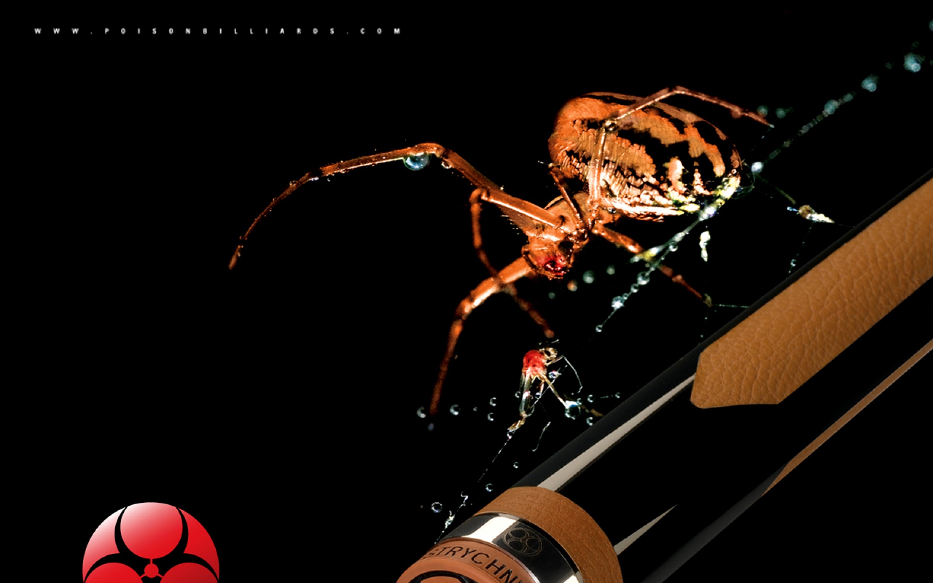 美洲豹球杆,Poison,Billiards,台球杆,广告,2012Y十月26D