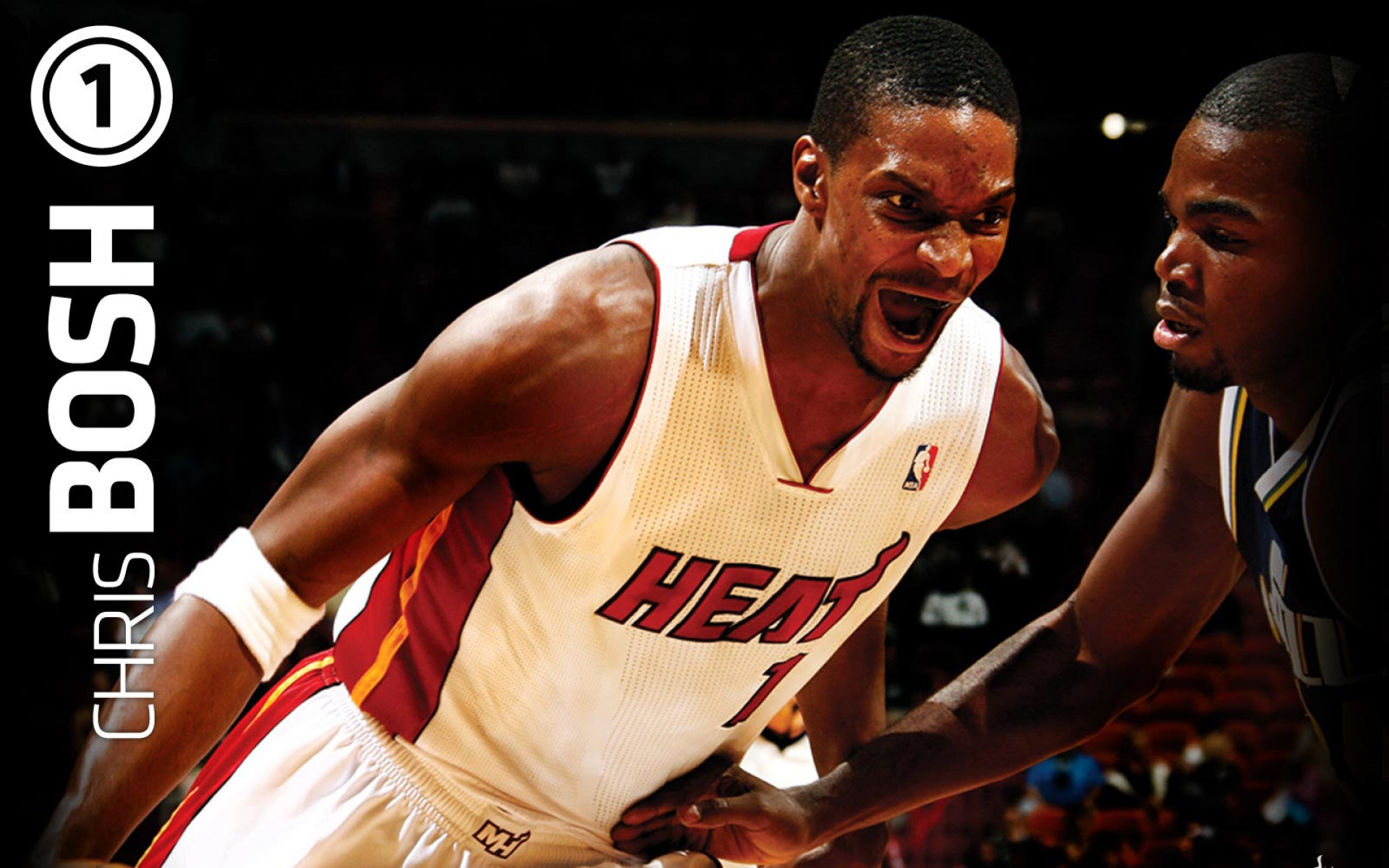 迈阿密,热火队,NBA,波什,体育,篮球,2012Y十月25D