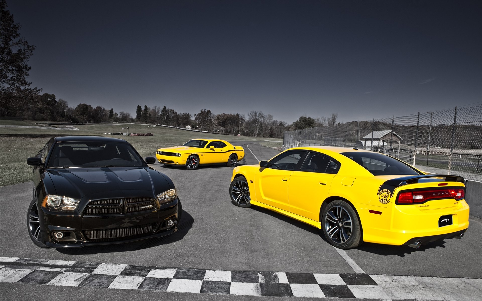 Dodge,道奇,Charger,汽车,宽屏,跑车,黄色,儿童桌面专用