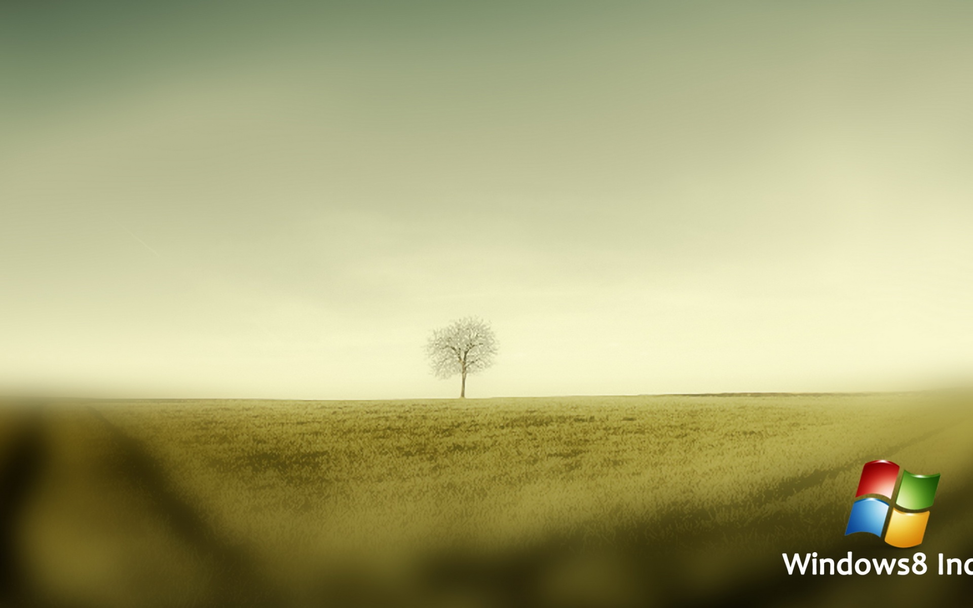 Windows,8,设计,简约,系统,绿色,儿童桌面专用