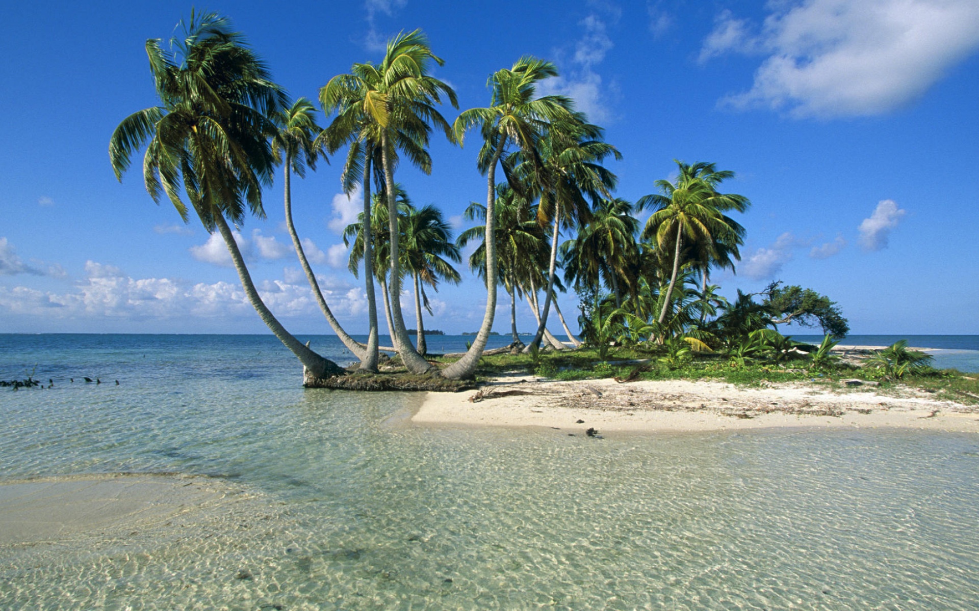 风景,海洋天堂,2012Y十月29D,儿童桌面专用
