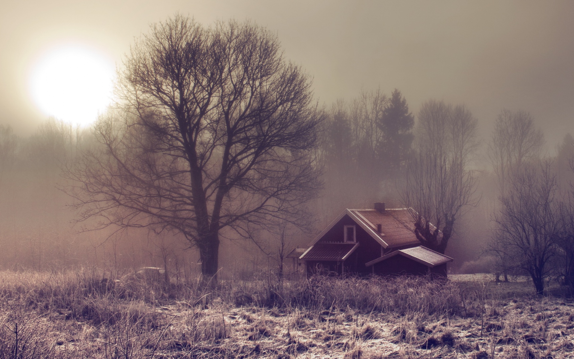 风景,冰天雪地,2012Y十月27D,儿童桌面专用