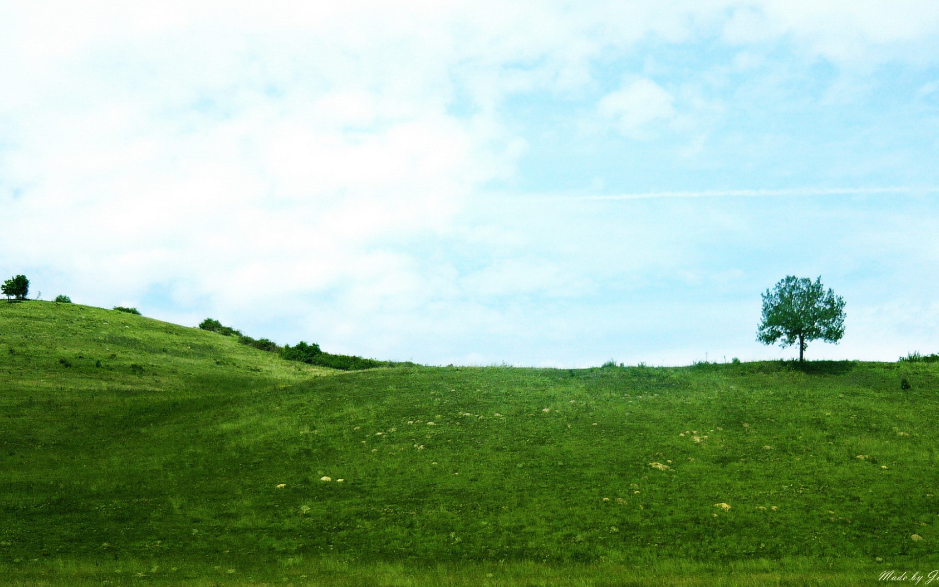 风景,碧绿草原,2012Y十月27D,儿童桌面专用