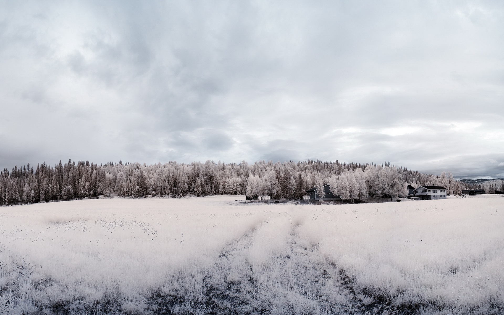 风景,冰天雪地,2012Y十月27D,儿童桌面专用