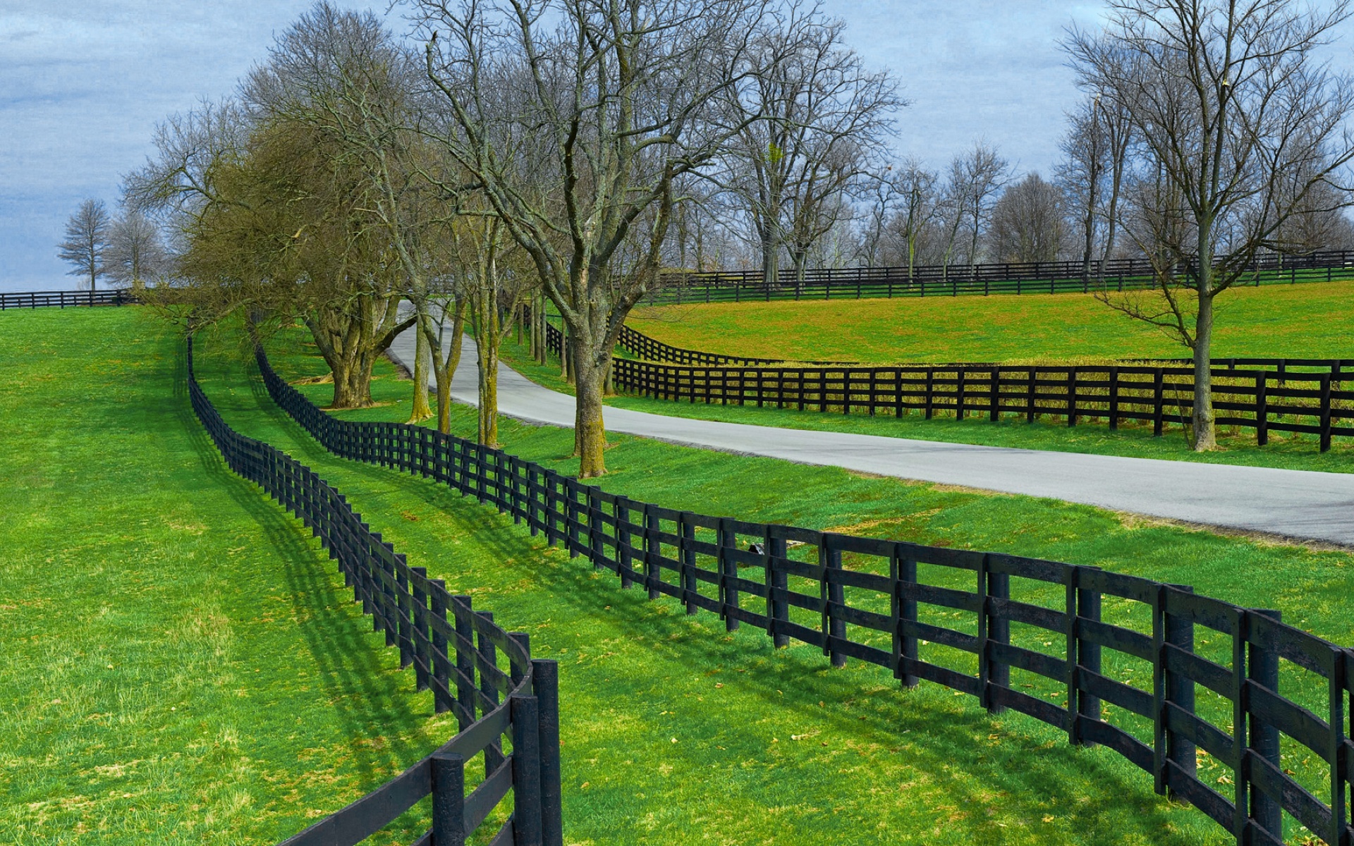 小清新,护眼壁纸,儿童桌面专用