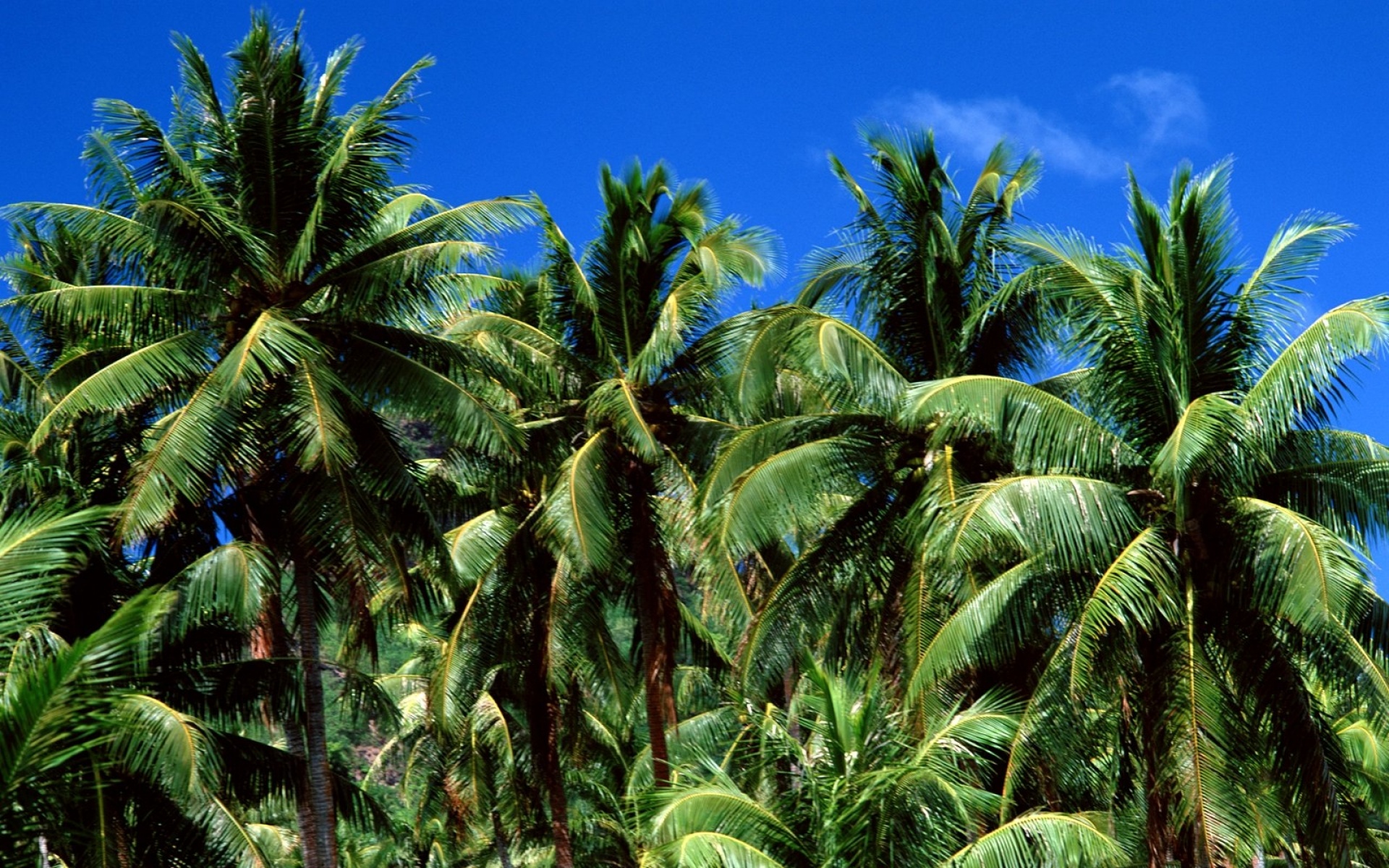 风景,海洋天堂,2012Y十一月04D,儿童桌面专用