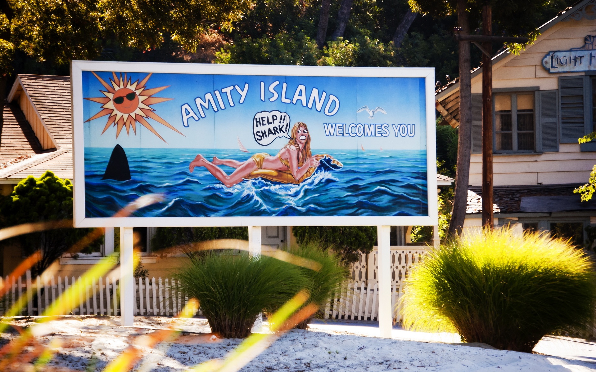 momav,精美,摄影,艺术,设计,宽屏,2012Y十月29D