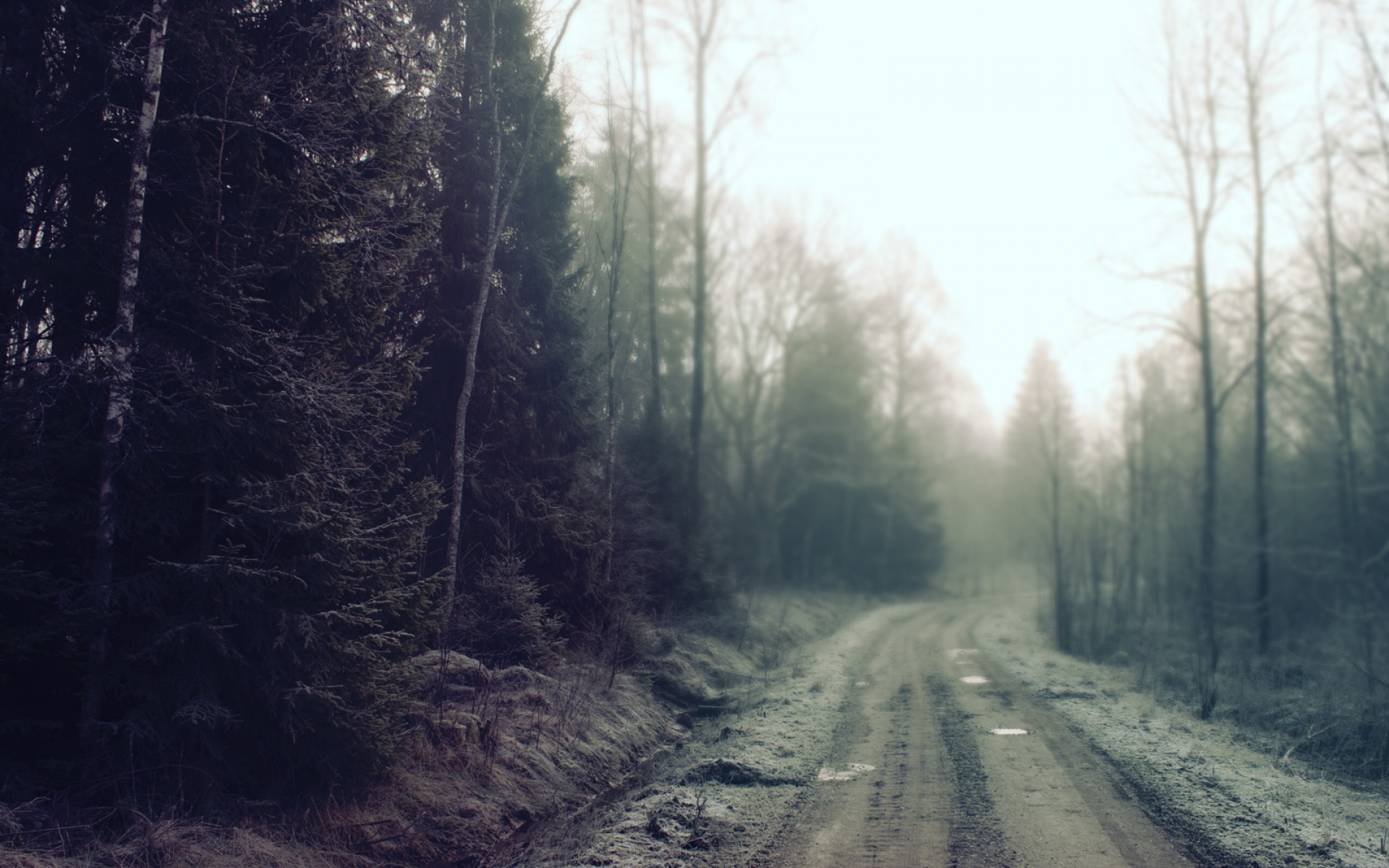 风景,冰天雪地,2012Y十月27D,儿童桌面专用