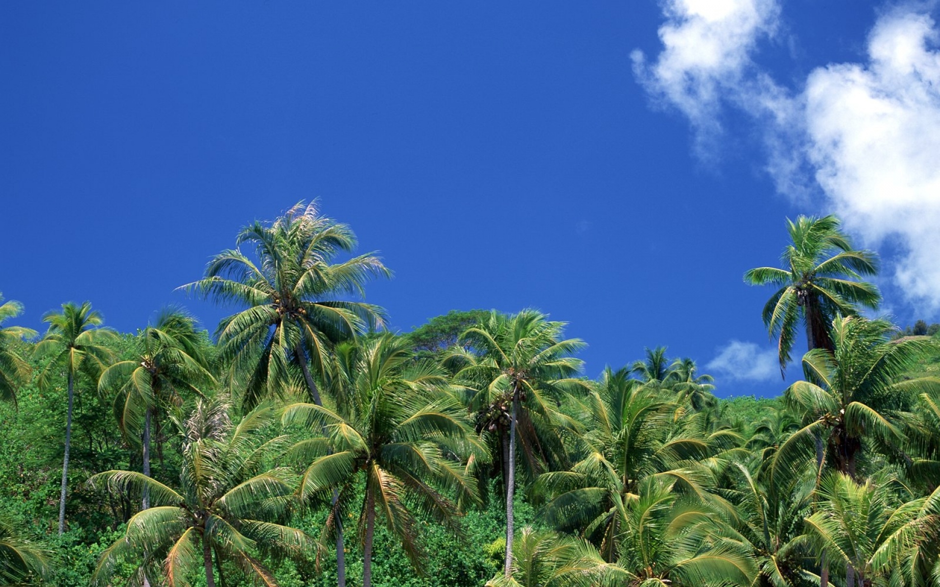 风景,海洋天堂,2012Y十一月04D,儿童桌面专用