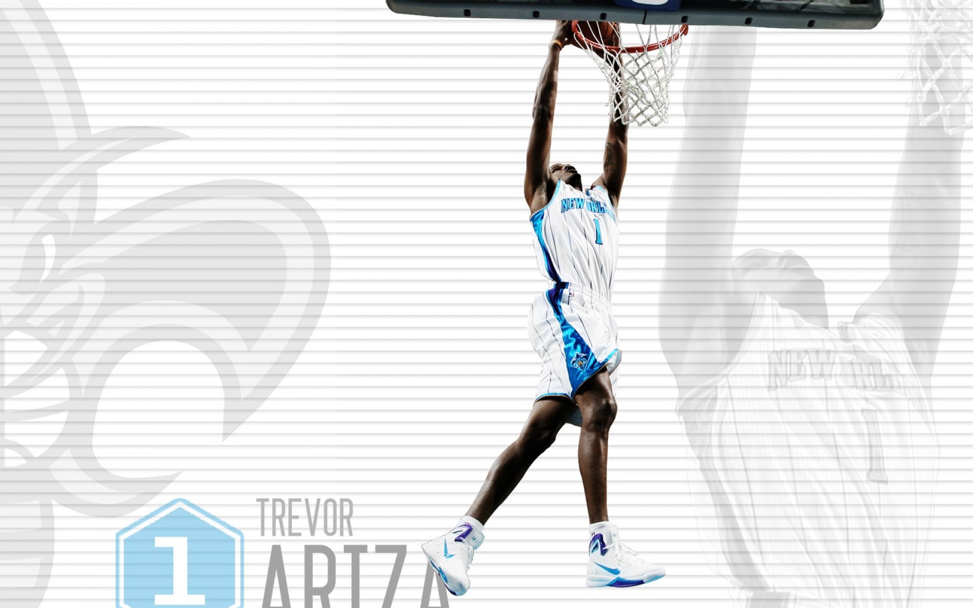 黄蜂队,NBA,篮球,体育,运动,宽屏,2012Y十月28D