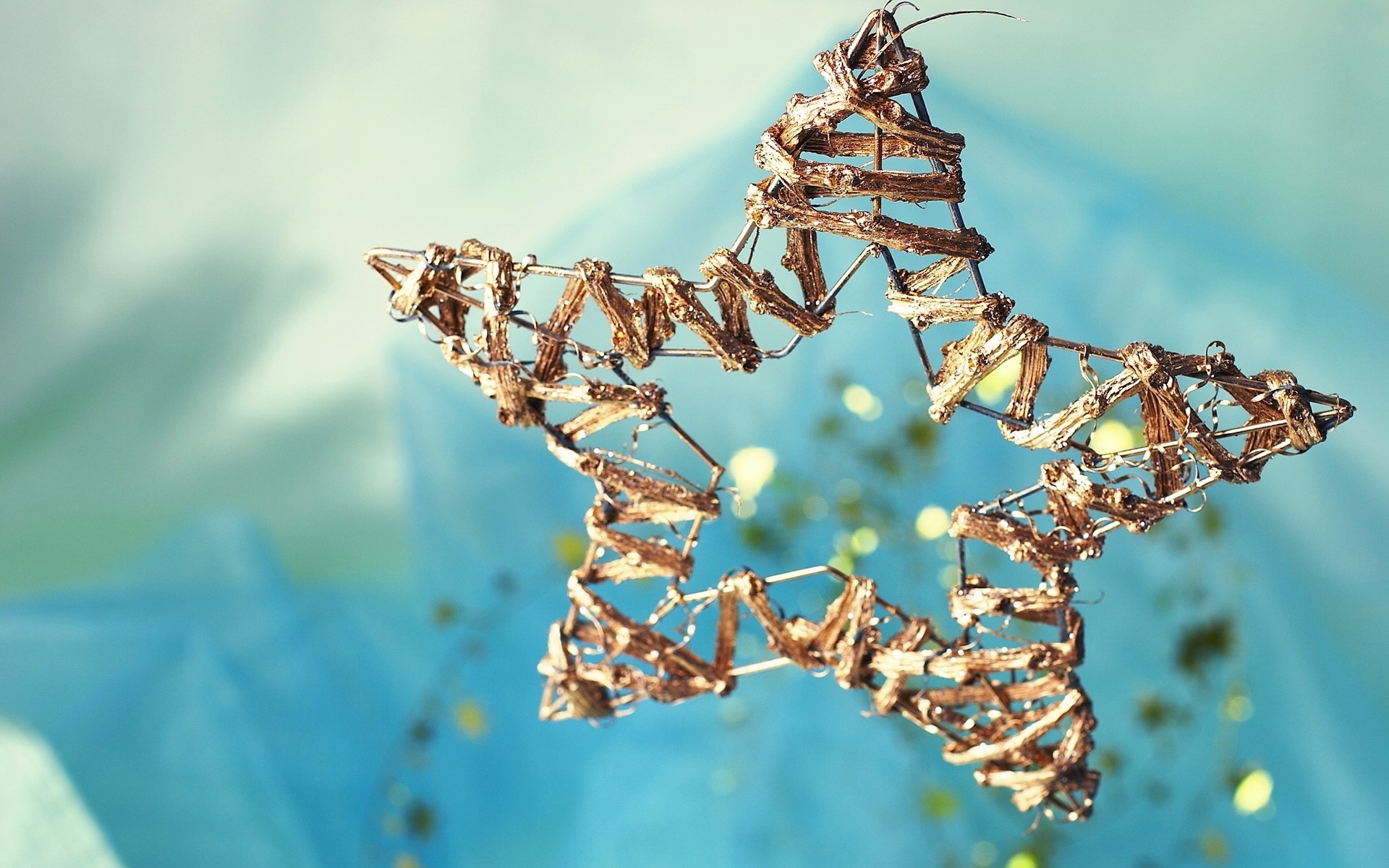 清新,植物,浪漫,美丽2012Y十月28D,儿童桌面专用