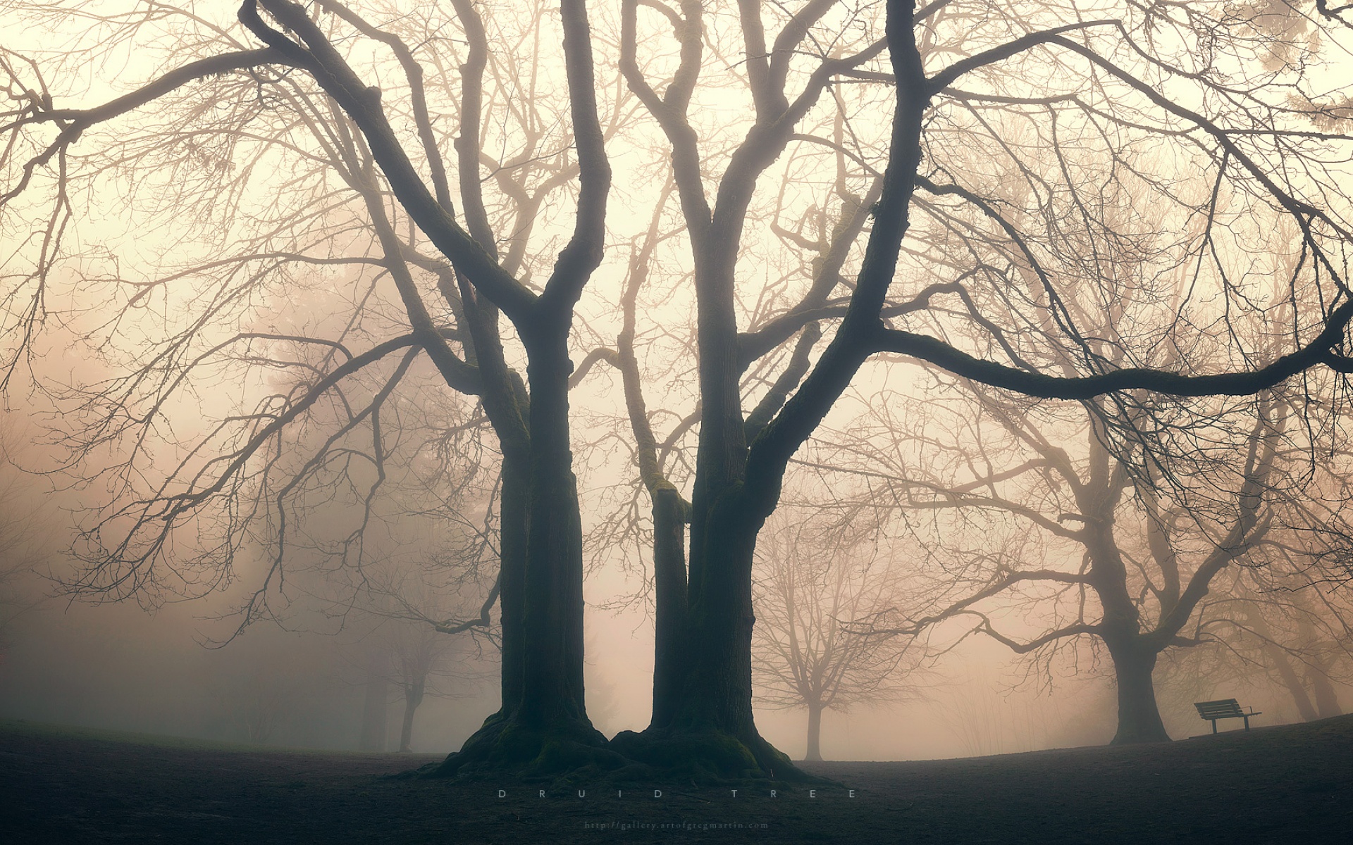 名家,精美,电脑,艺术,设计,风光,风景,宽屏,1080p,2012Y十月28D,儿童桌面专用