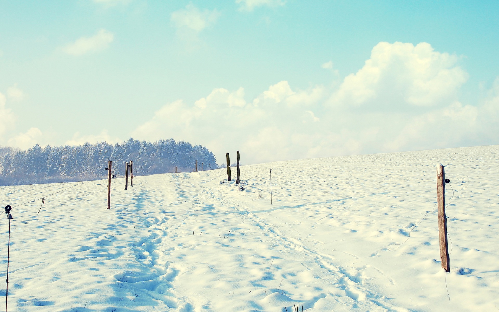 风景,冰天雪地,2012Y十月26D,儿童桌面专用