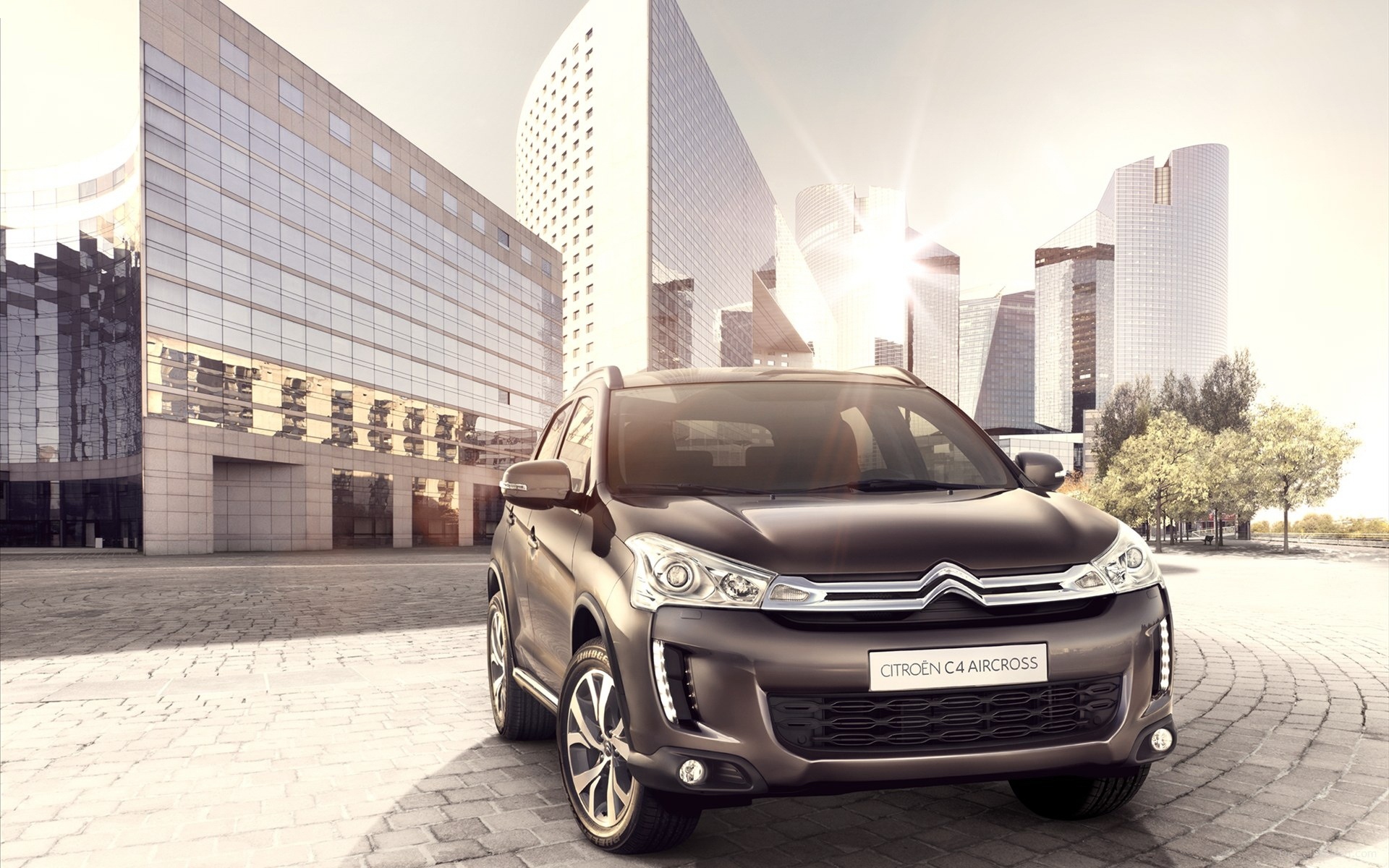 Citroen,雪铁龙,C4,汽车,宽屏,2012Y十月26D,儿童桌面专用